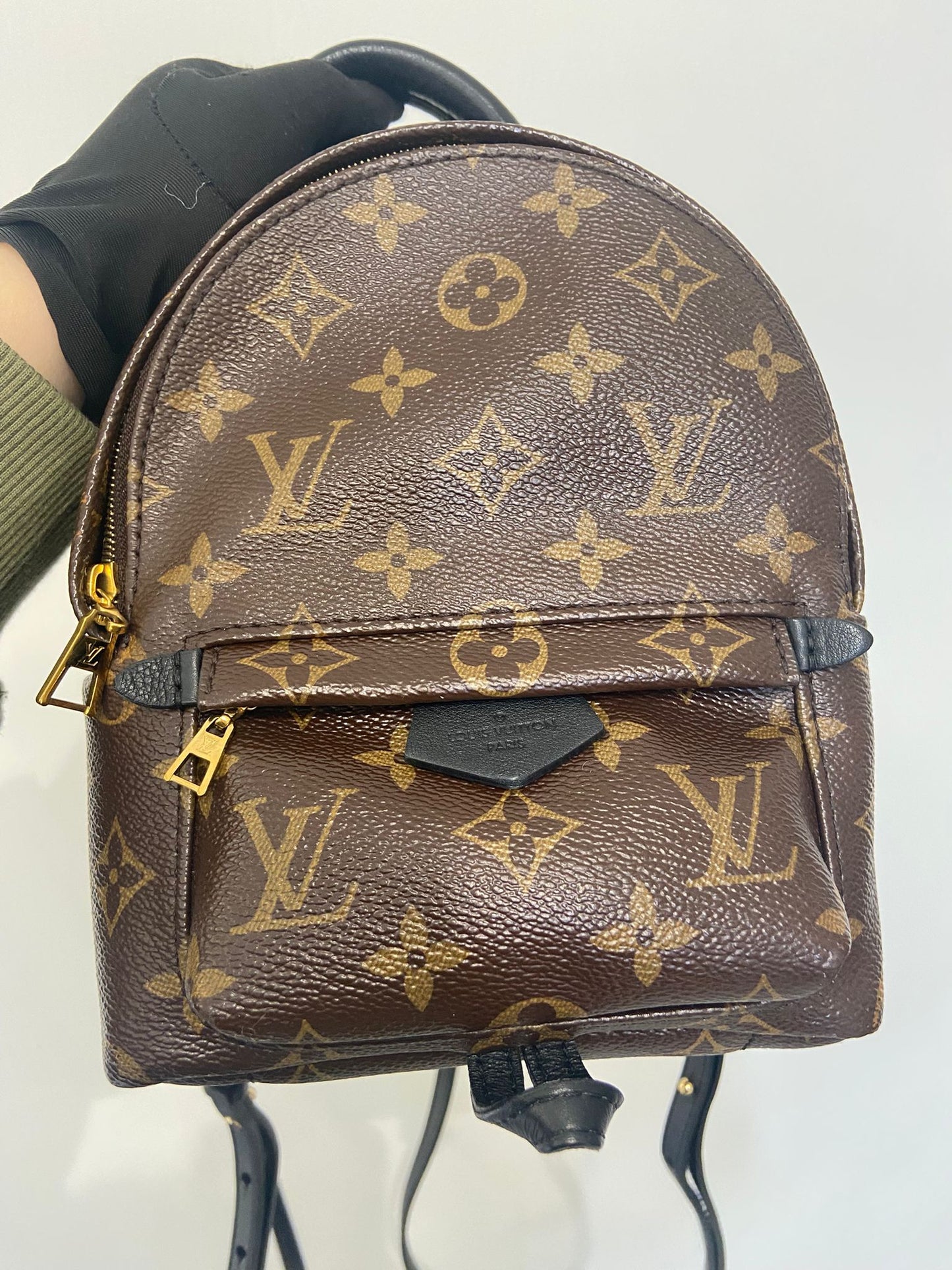 LV Palm Springs Mini 背囊 (M44873)
