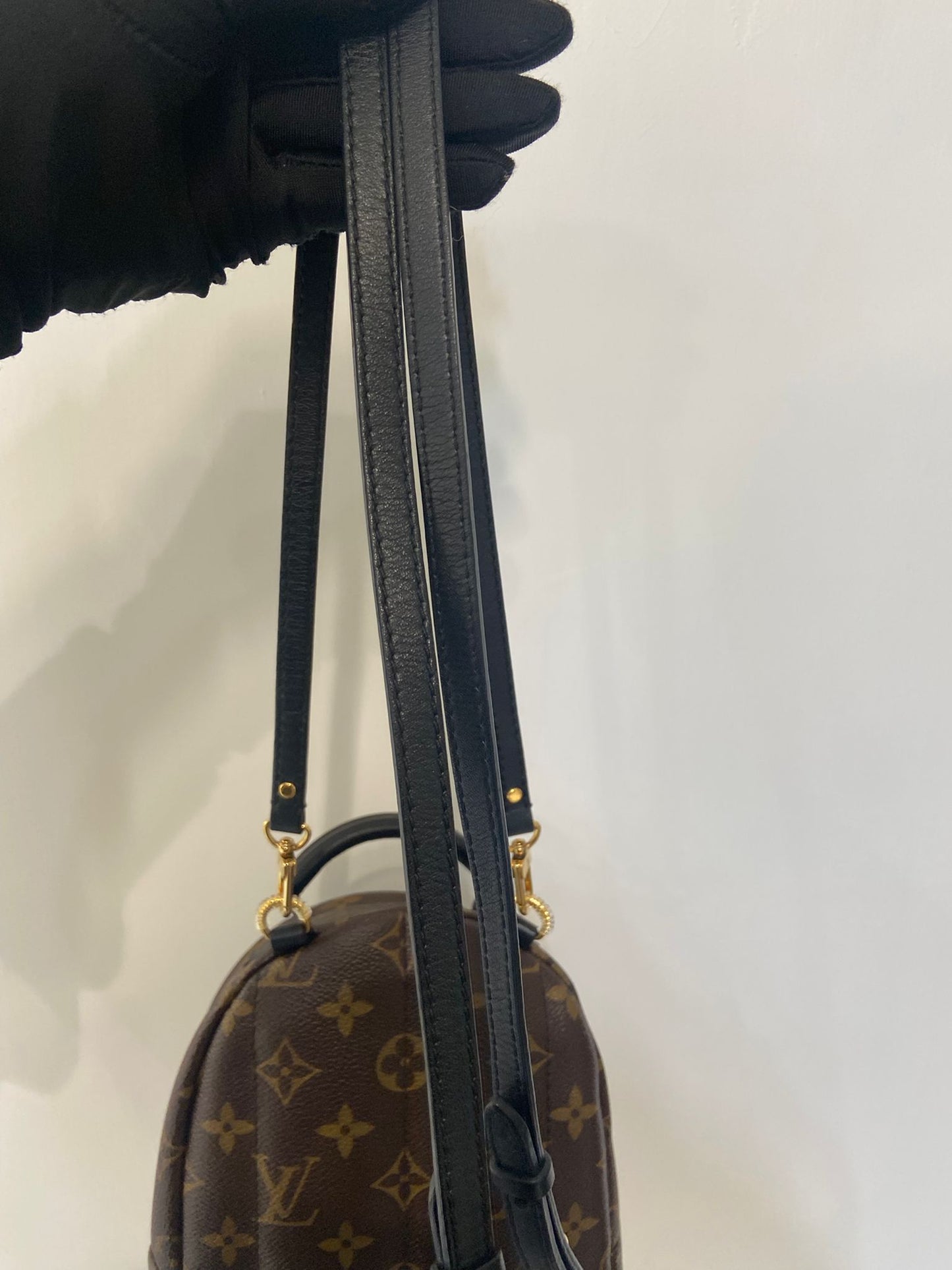 LV Palm Springs Mini 背囊 (M44873)