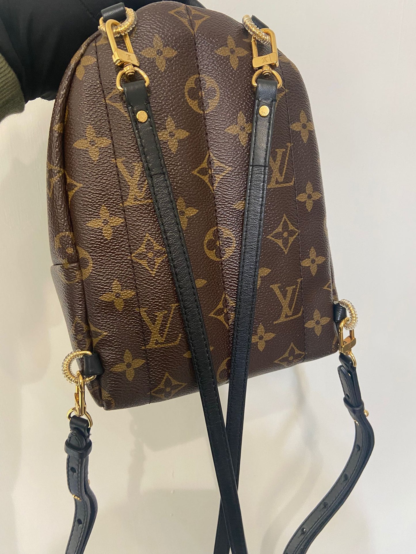 LV Palm Springs Mini 背囊 (M44873)