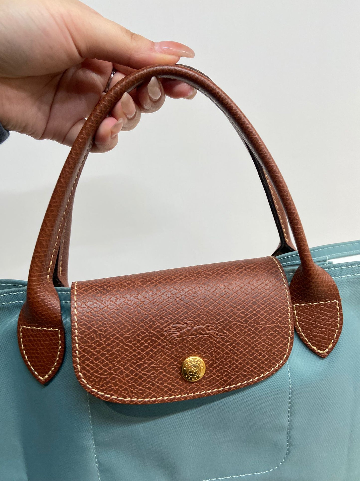 Longchamp tote