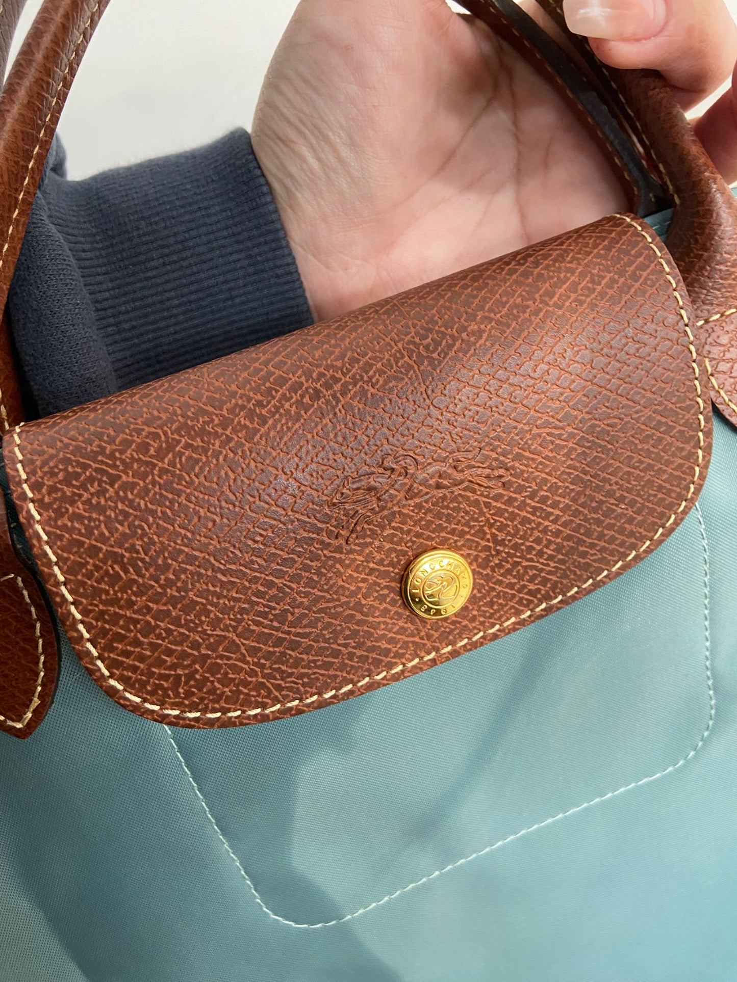 Longchamp tote
