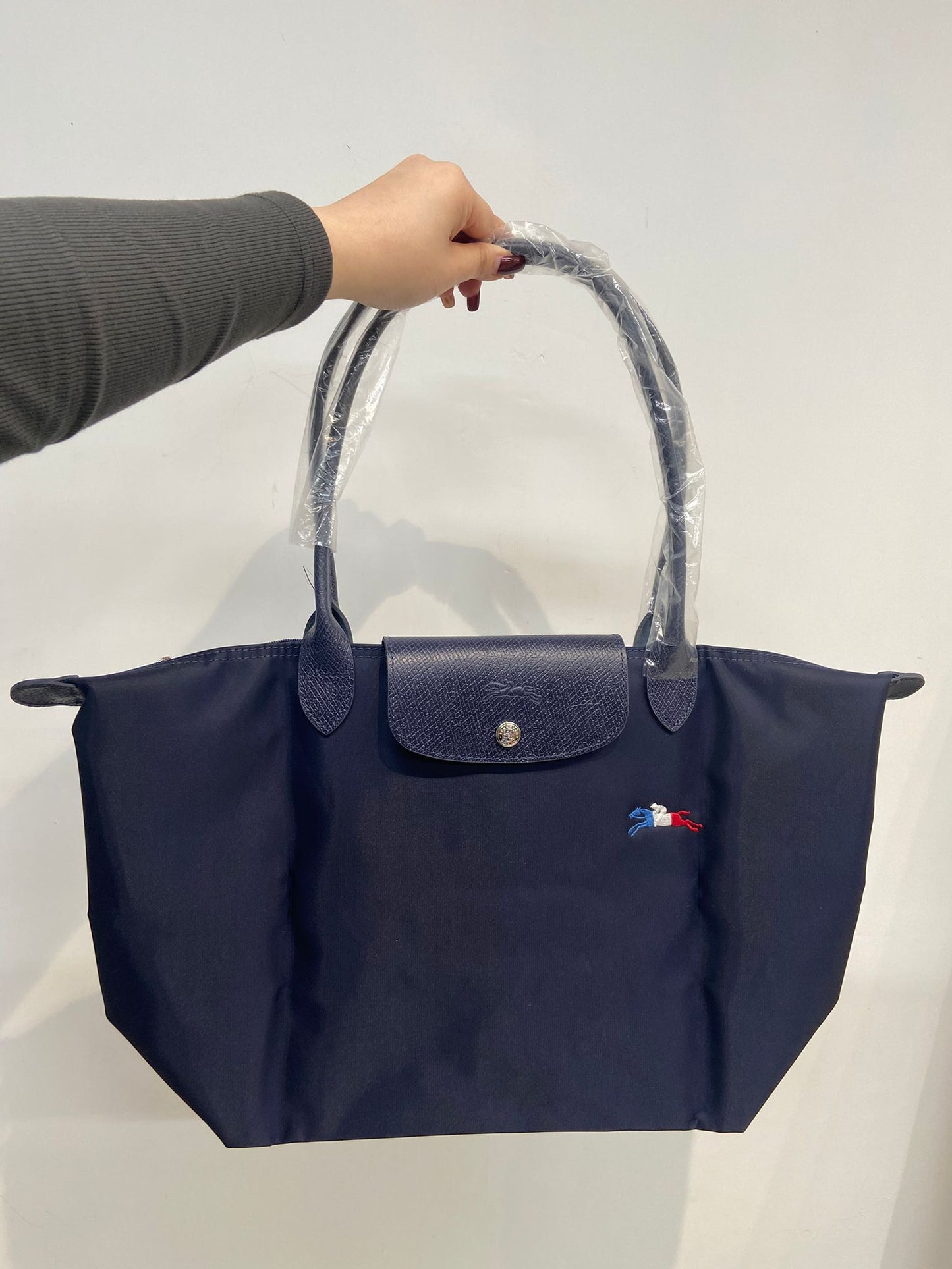 Longchamp tote