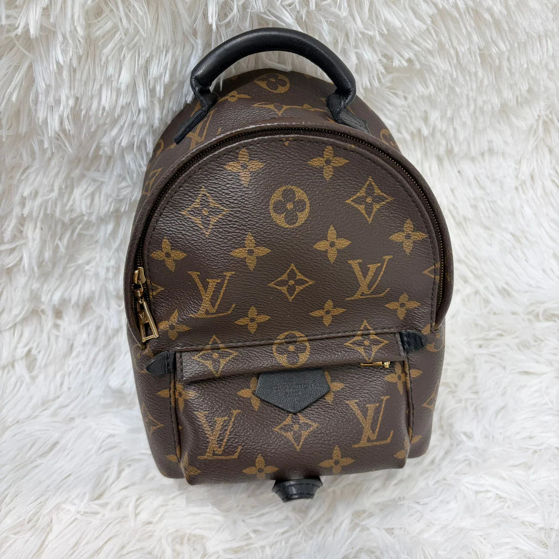 LV Palm Springs Mini 背囊