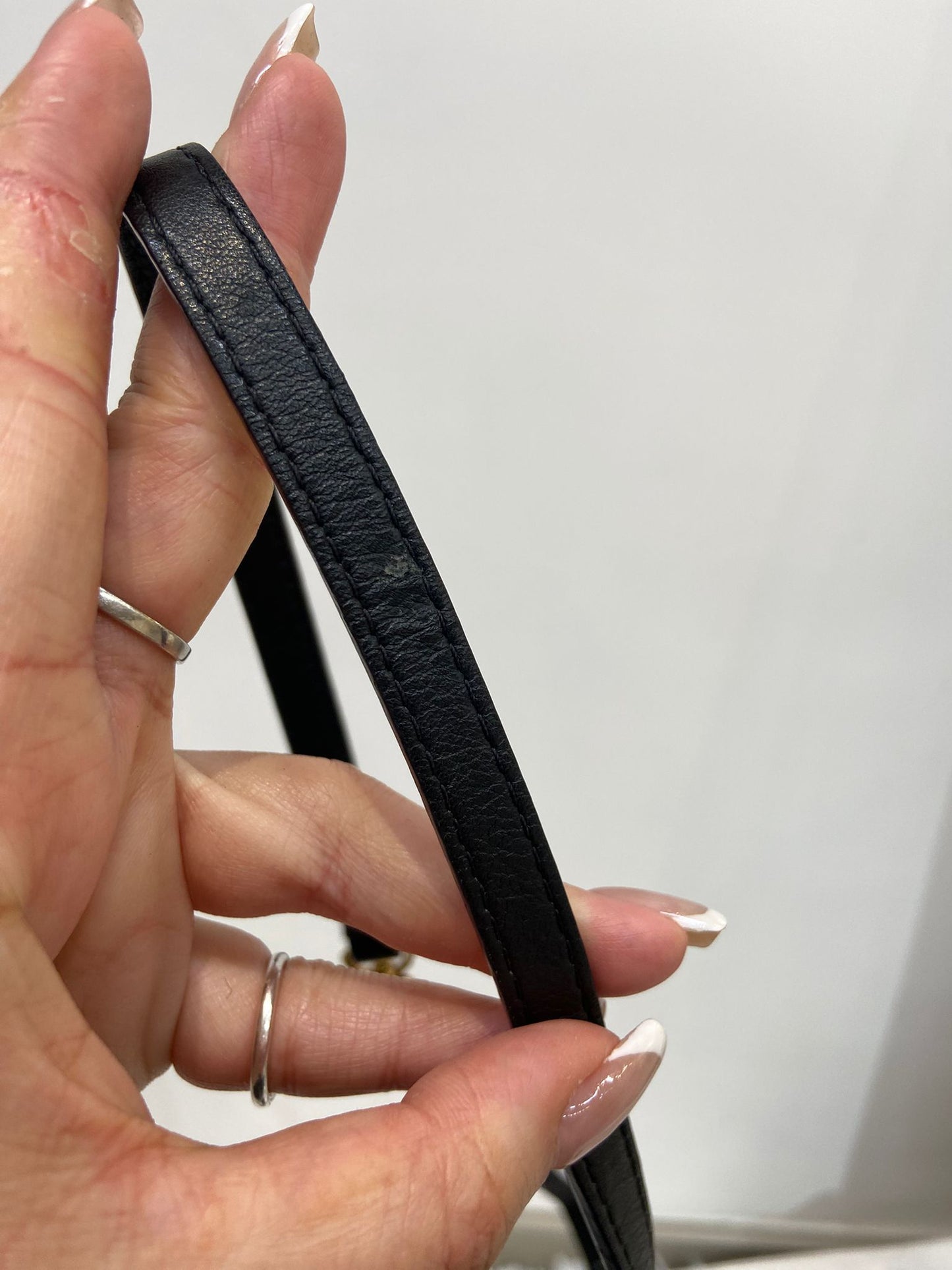 LV Palm Springs Mini 徽章限量版 背囊