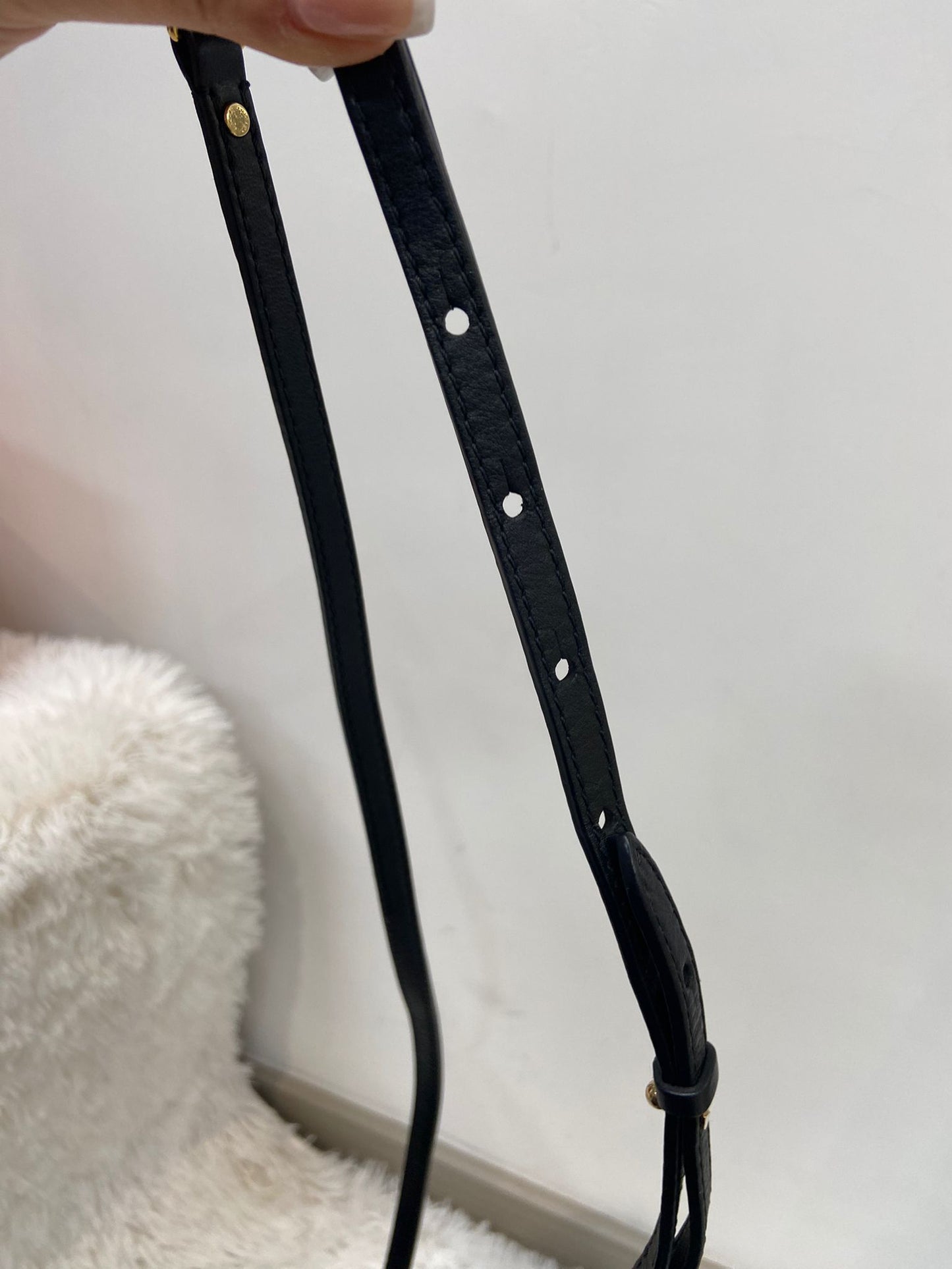 LV Palm Springs Mini 徽章限量版 背囊