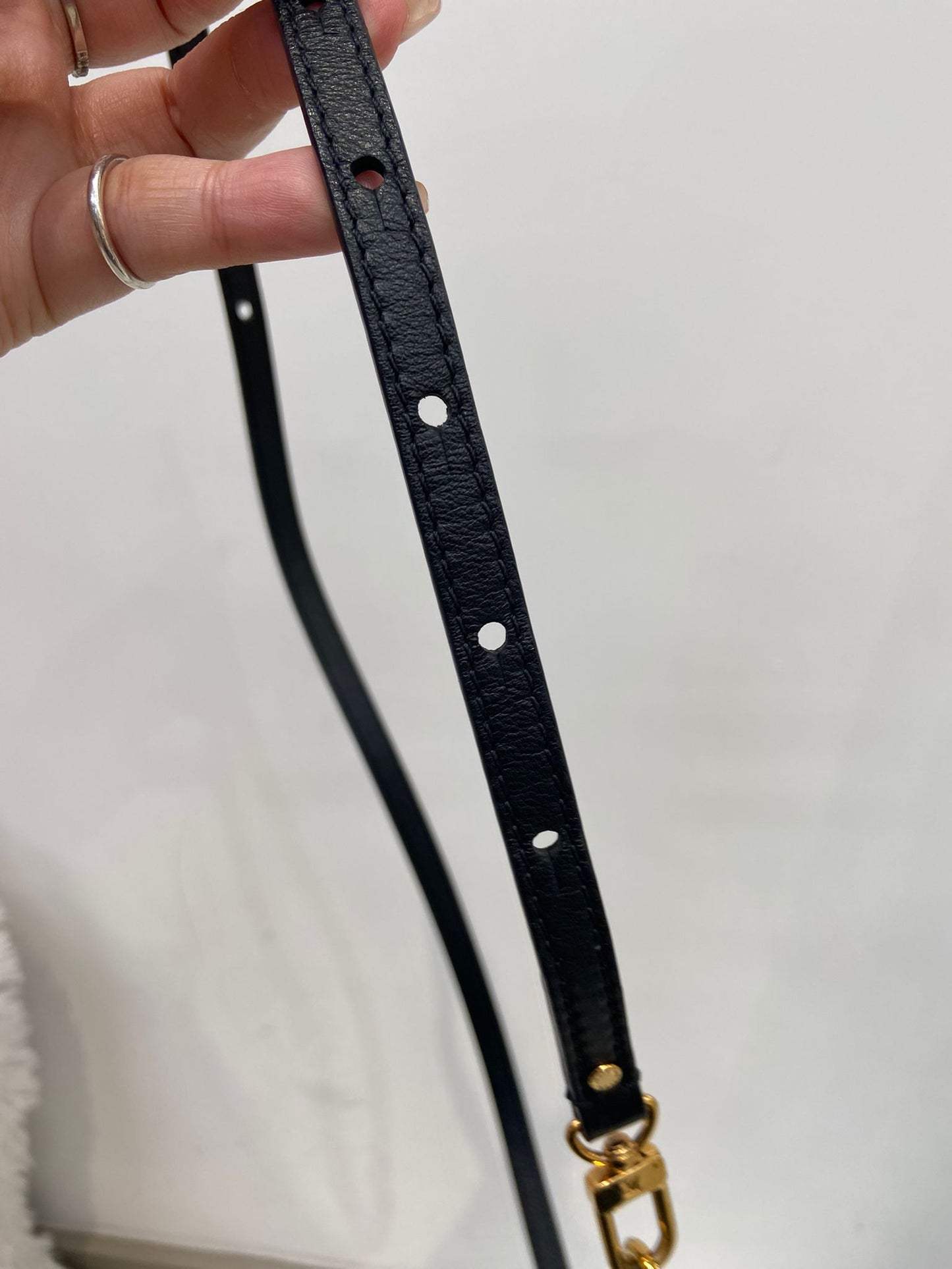 LV Palm Springs Mini 徽章限量版 背囊
