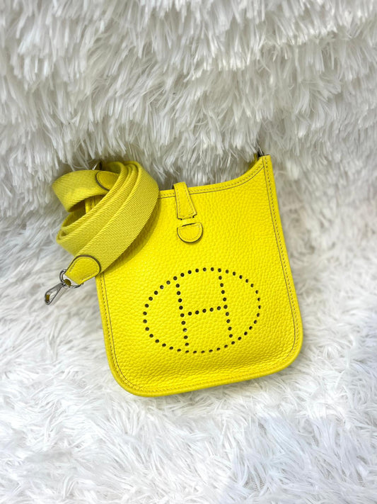 Hermes mini evelyne
