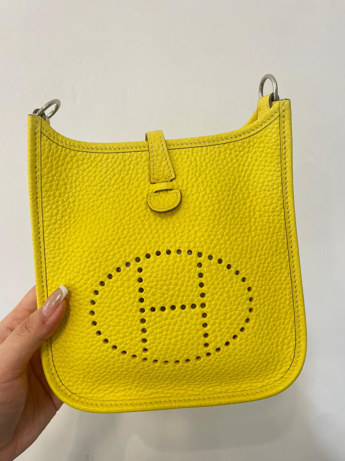 Hermes mini evelyne