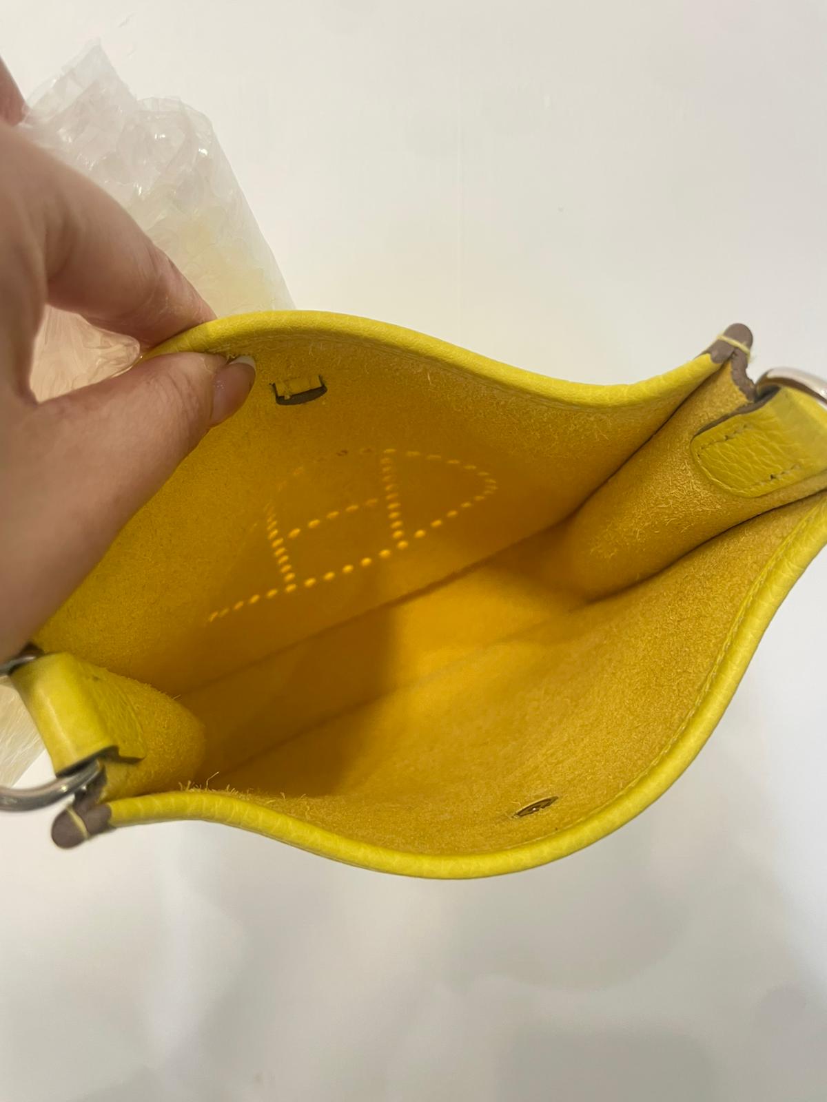 Hermes mini evelyne