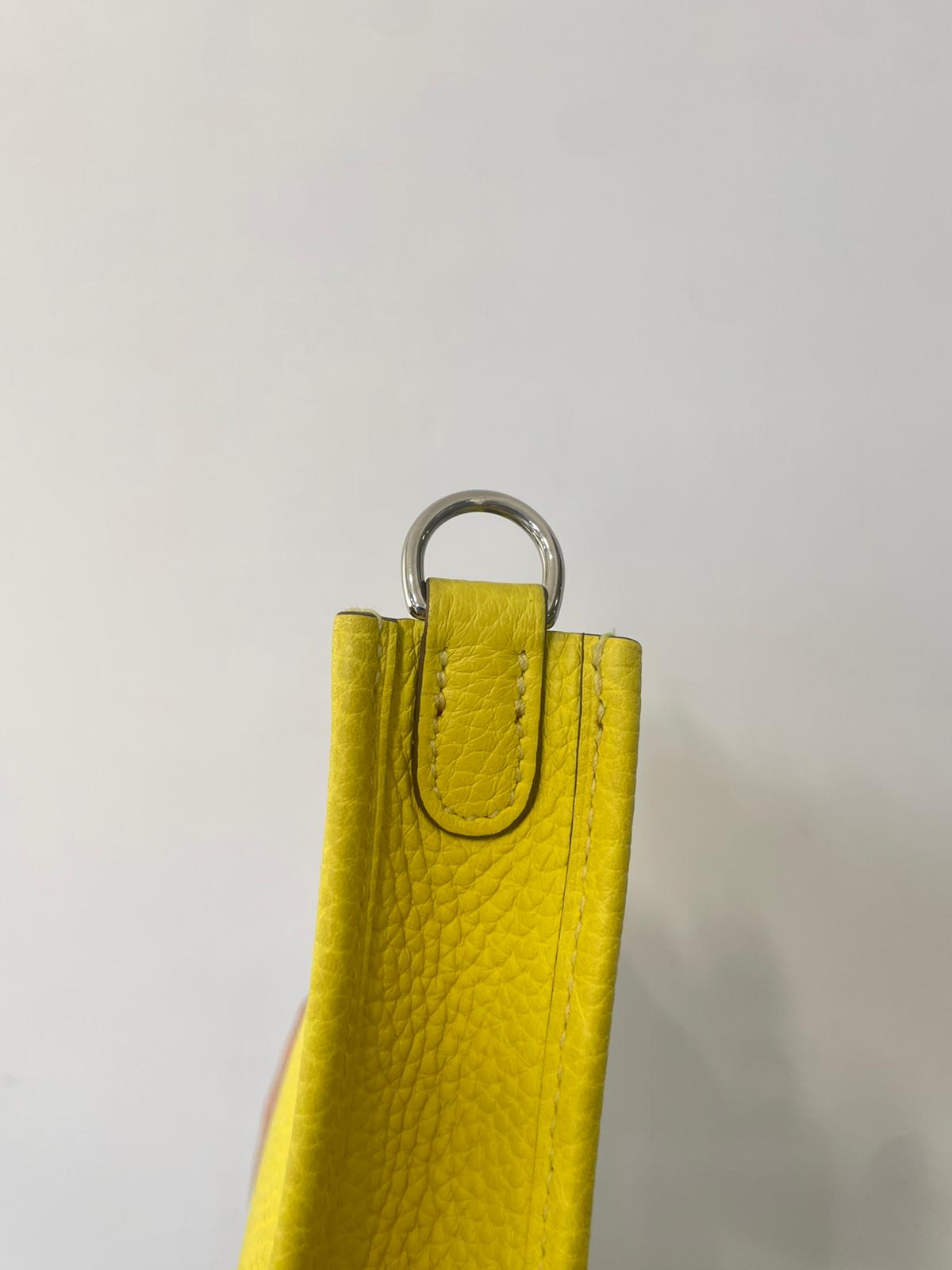 Hermes mini evelyne