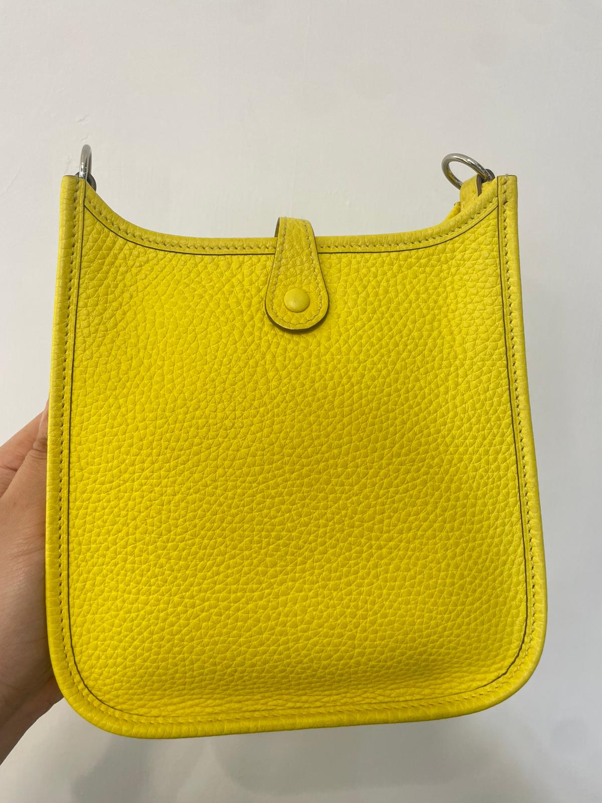 Hermes mini evelyne