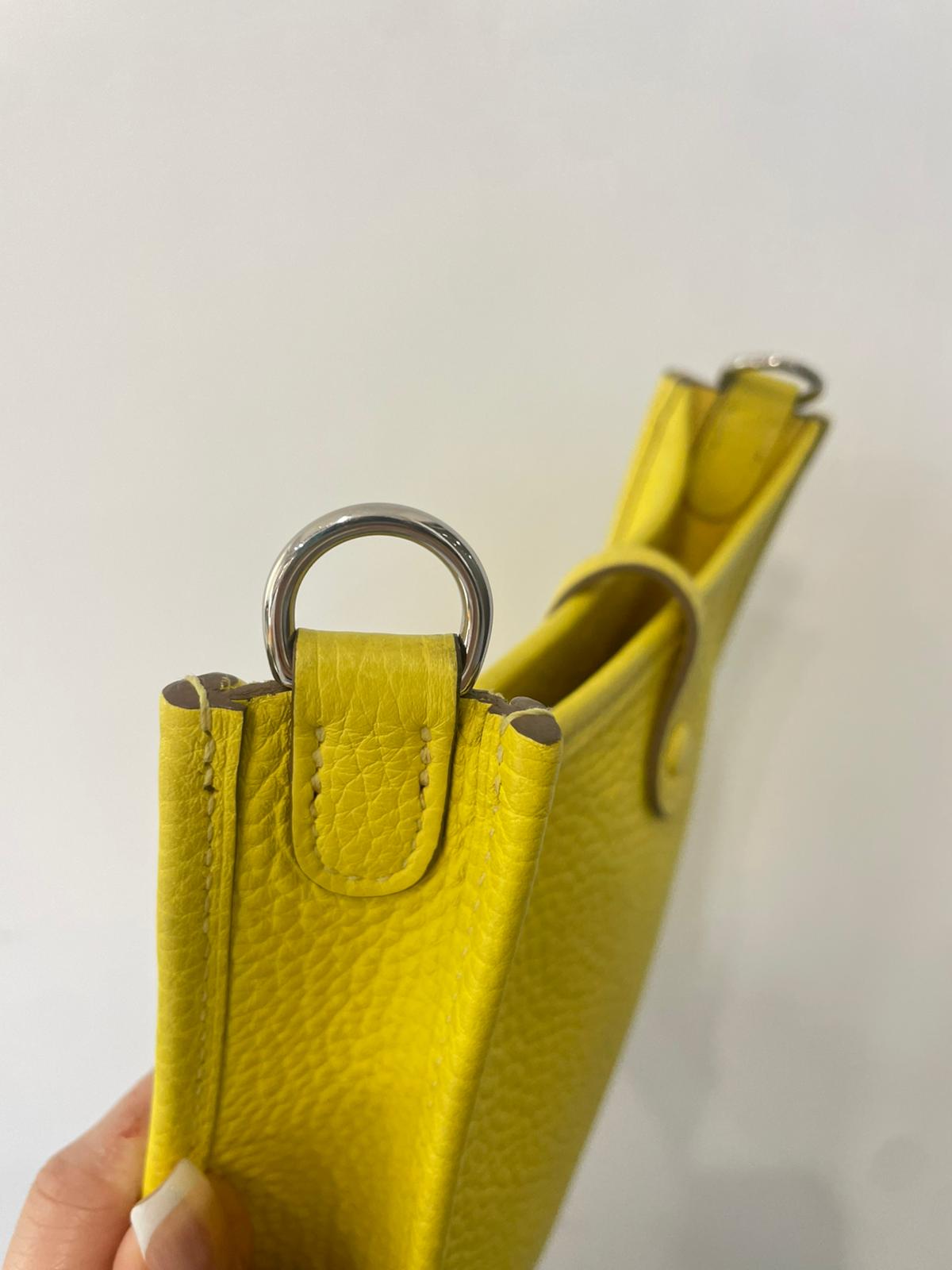 Hermes mini evelyne