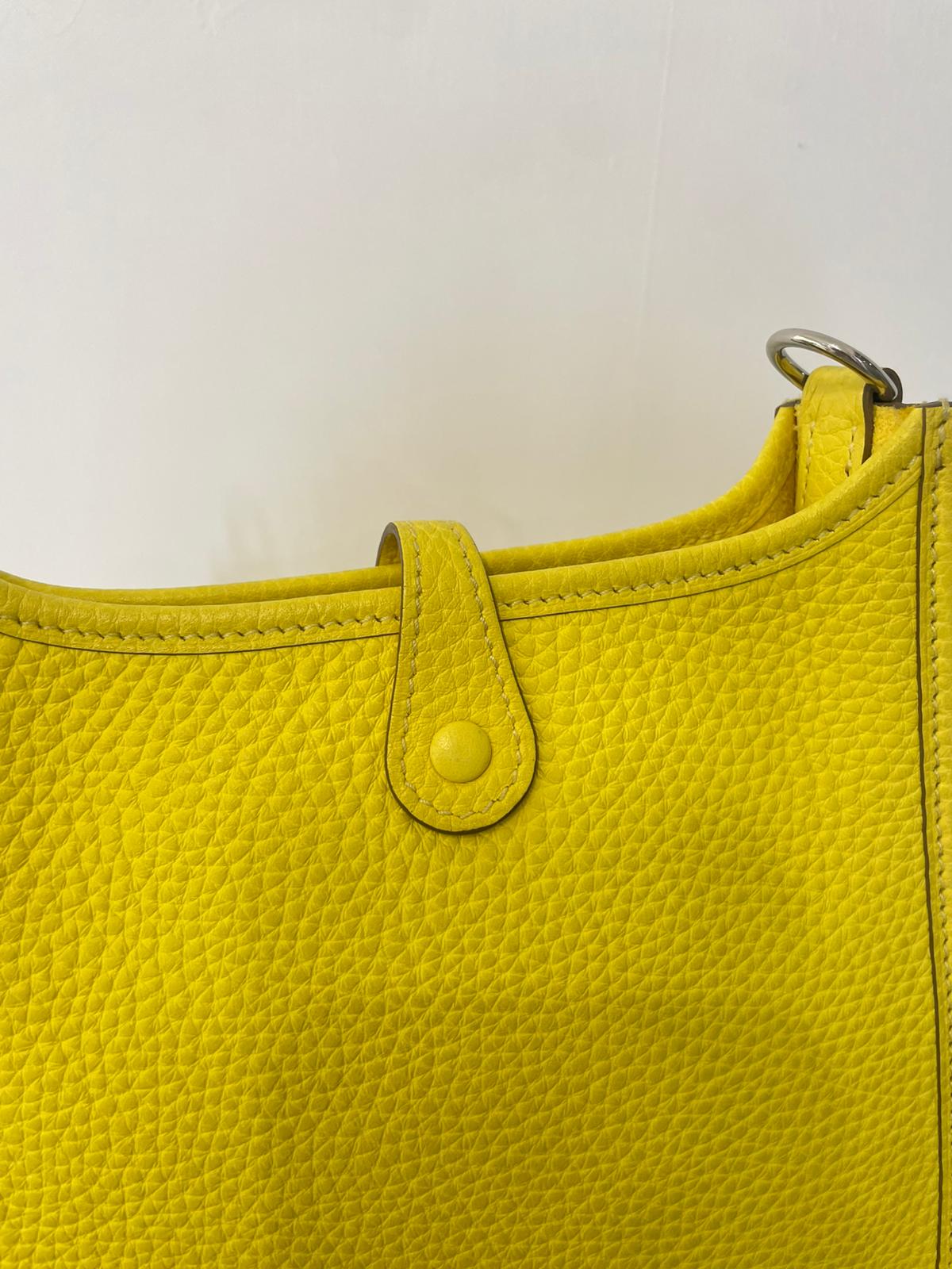Hermes mini evelyne