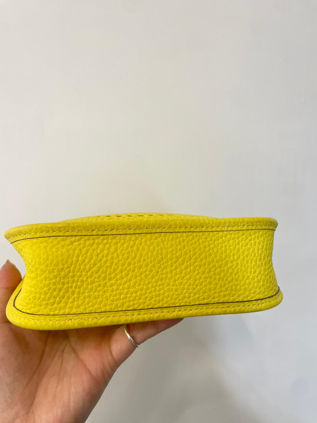 Hermes mini evelyne