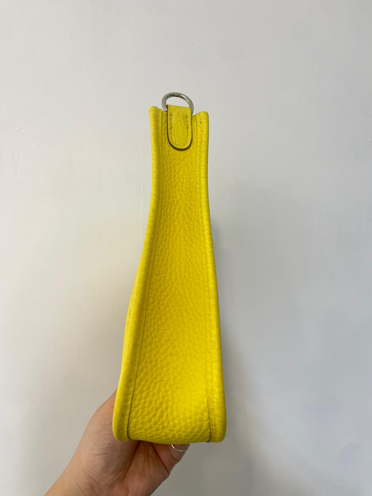 Hermes mini evelyne
