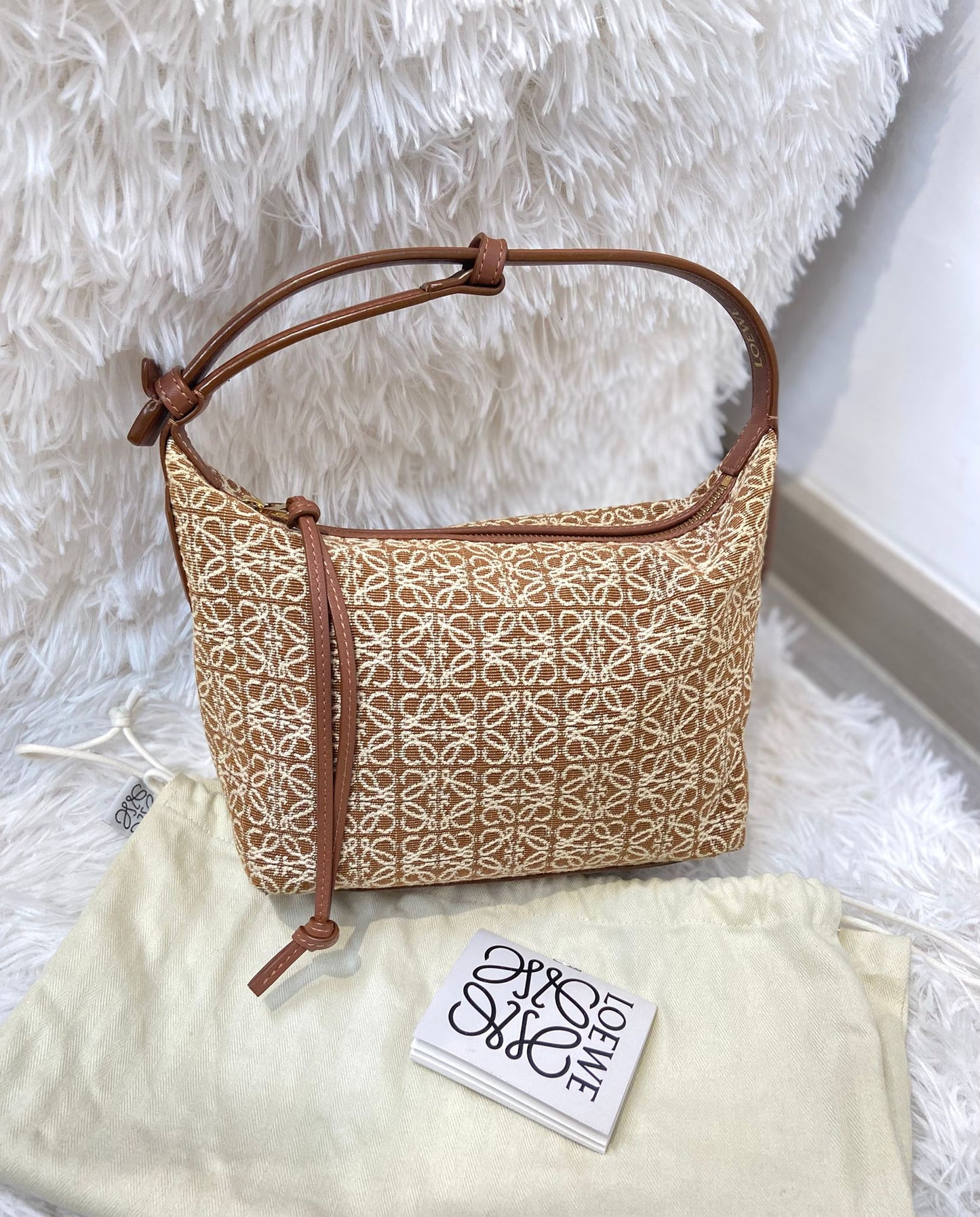 Loewe anal cubi飯盒包