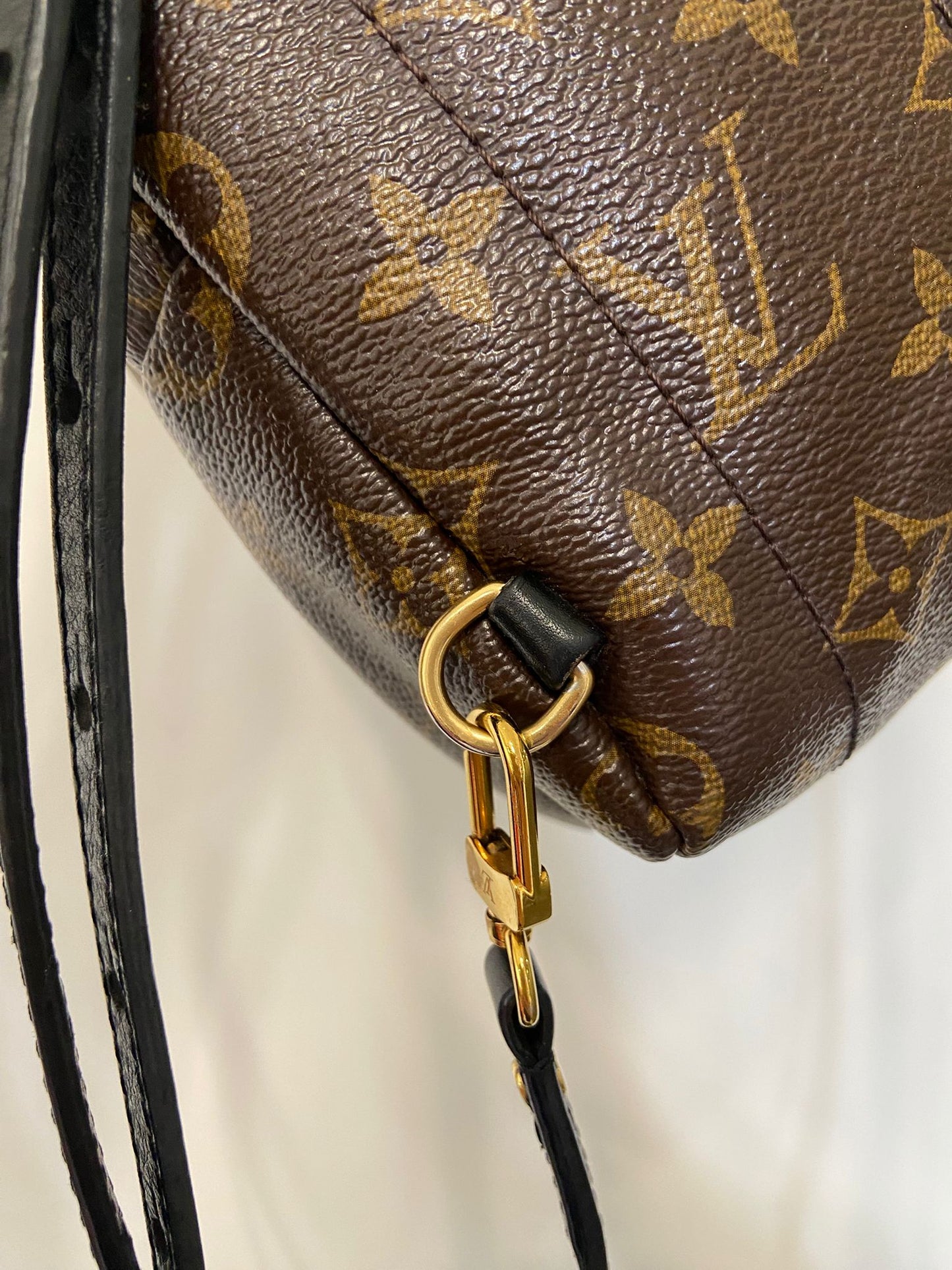 LV Palm Springs Mini 背囊