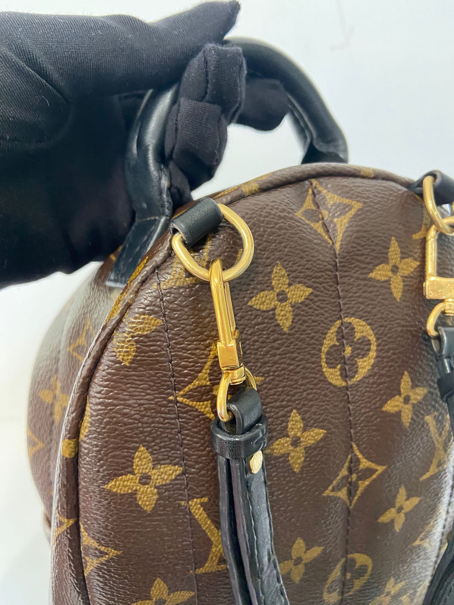 LV Palm Springs Mini 背囊