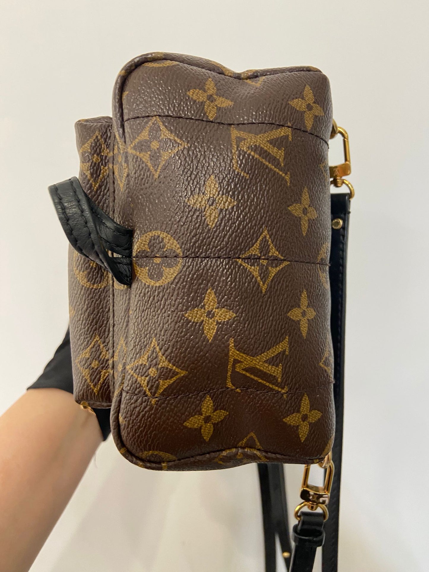 LV Palm Springs Mini 背囊
