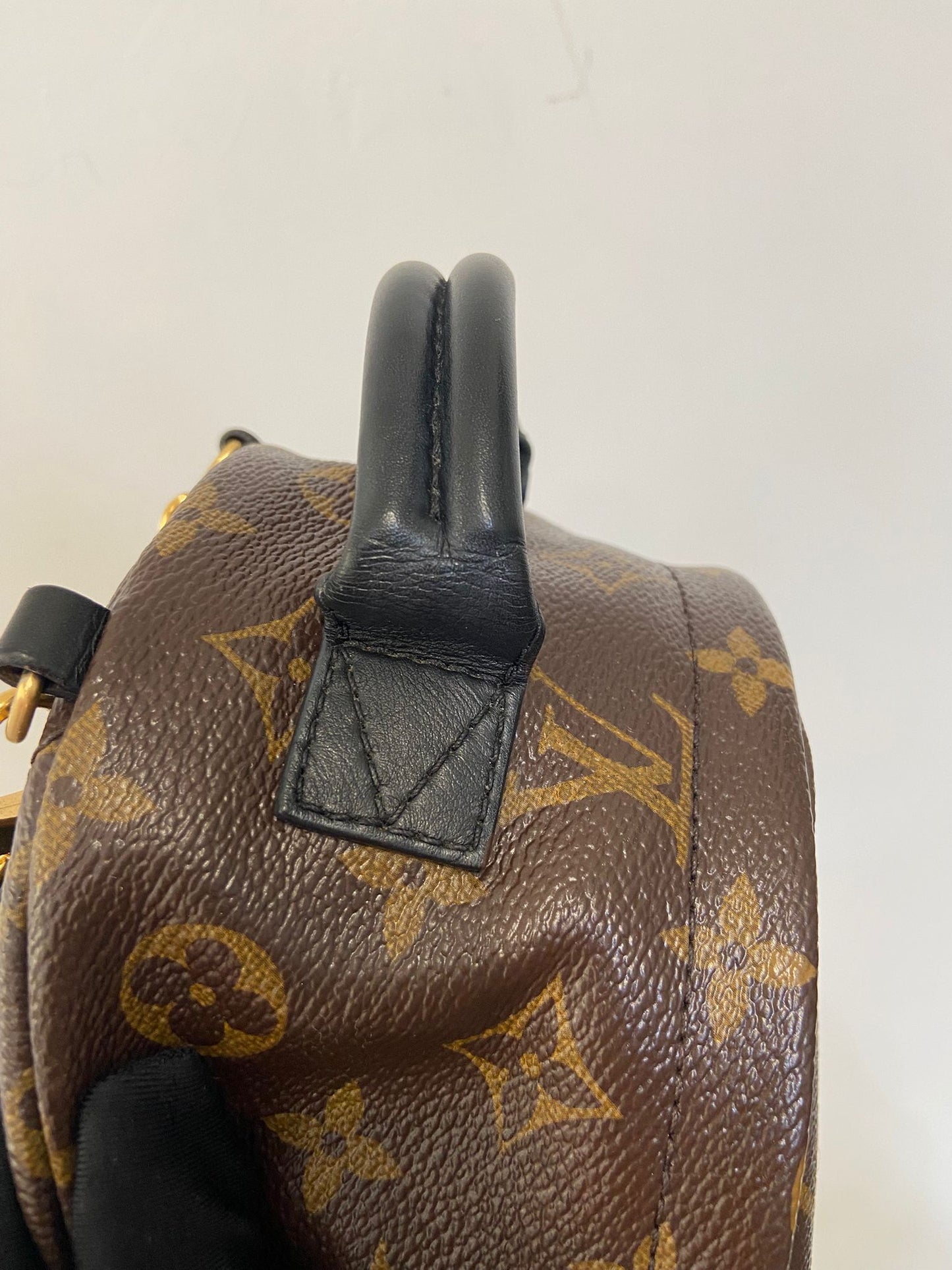 LV Palm Springs Mini 背囊