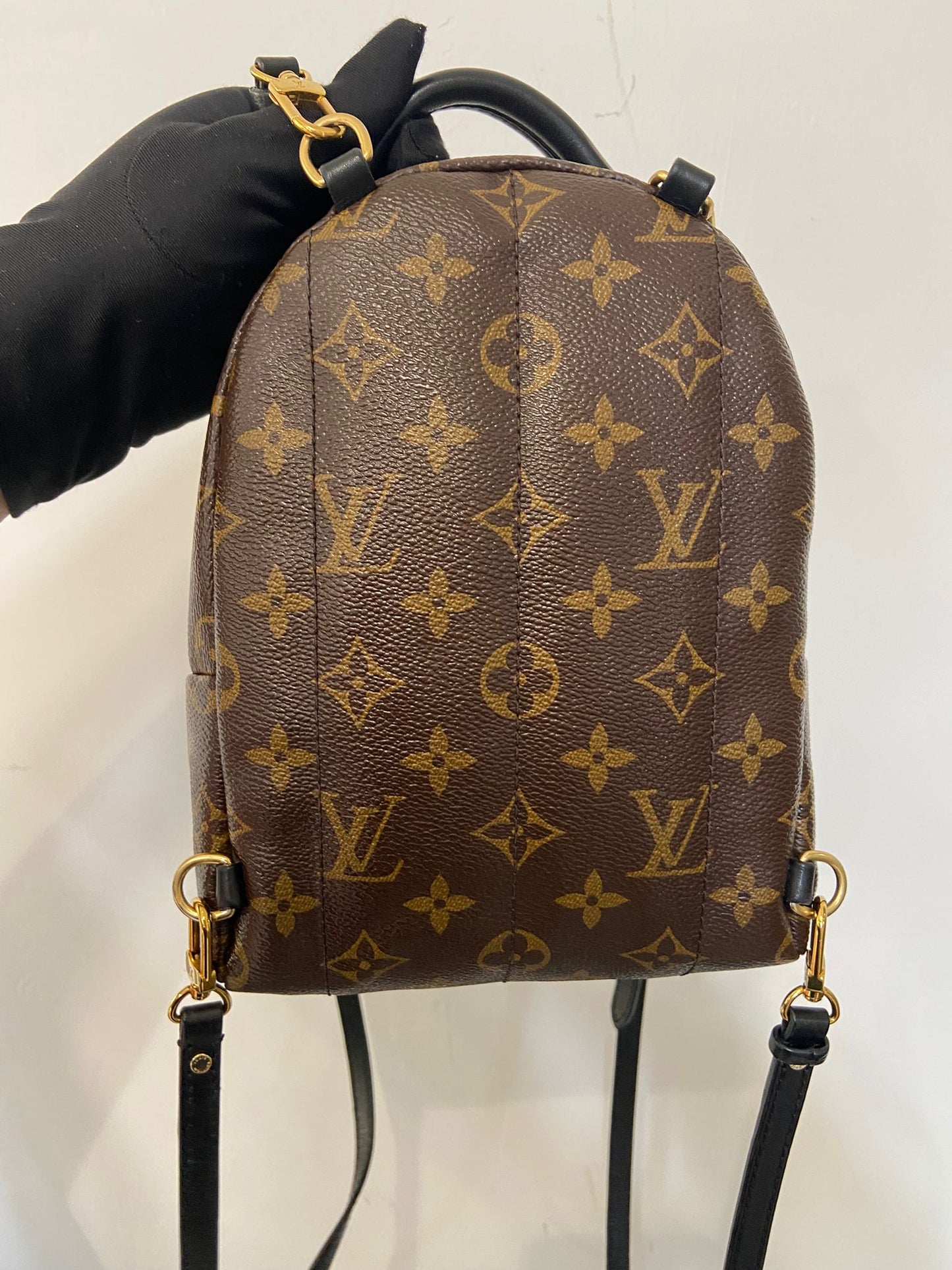 LV Palm Springs Mini 背囊