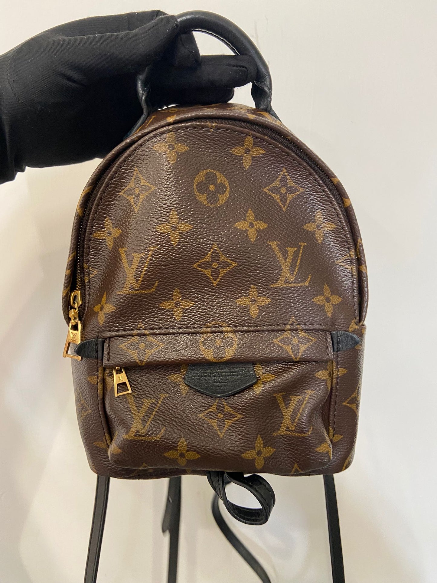LV Palm Springs Mini 背囊