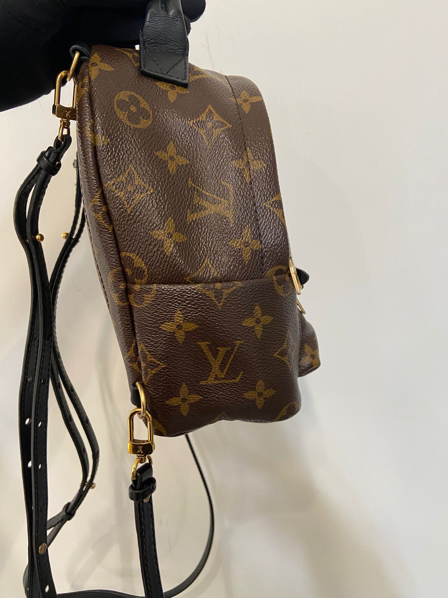 LV Palm Springs Mini 背囊