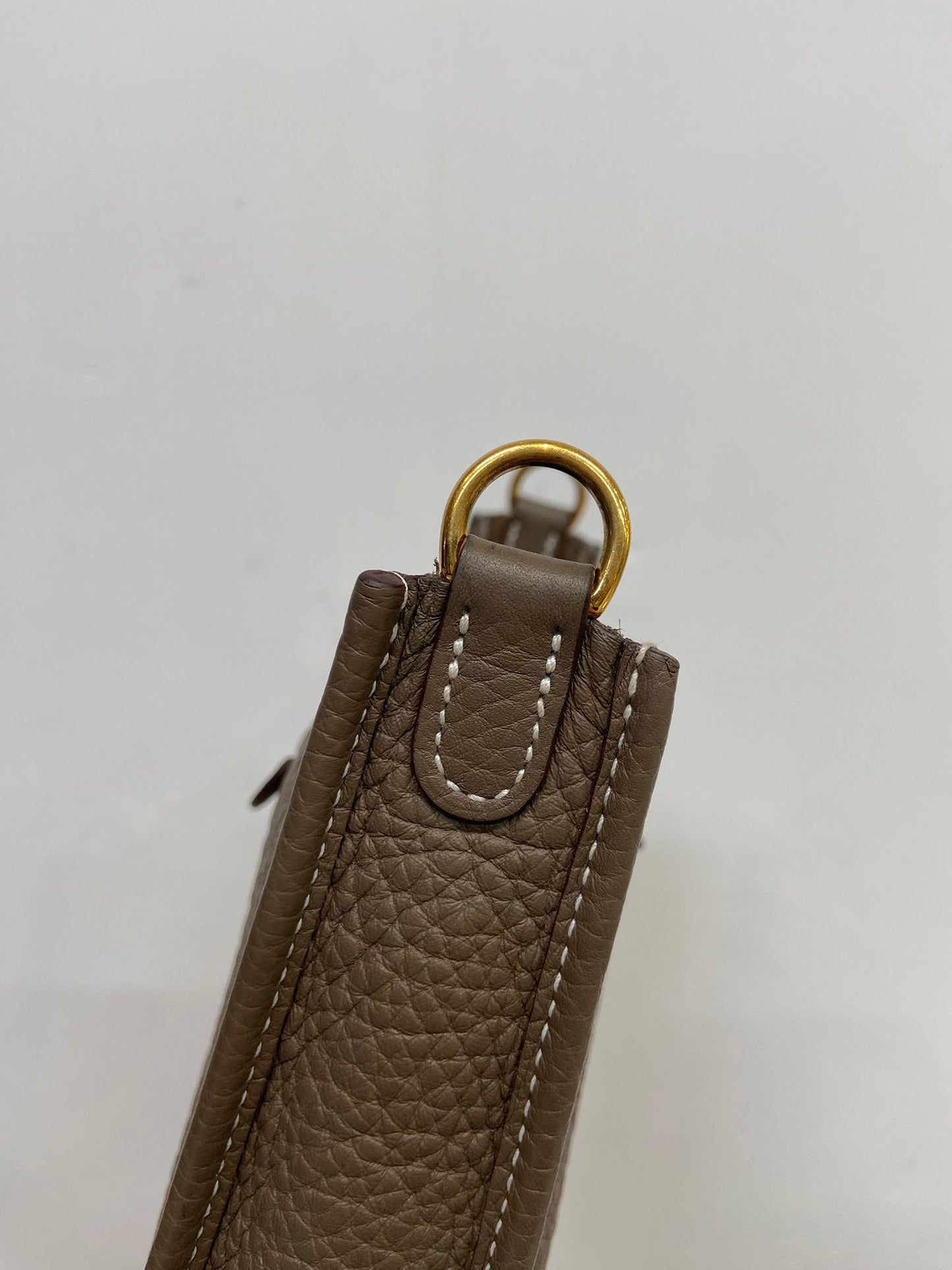 Hermes mini evelyne