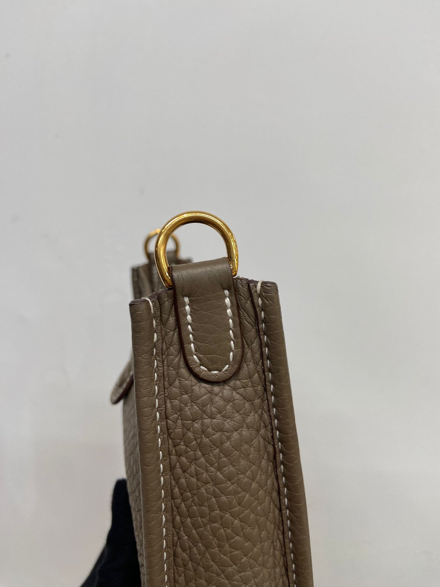 Hermes mini evelyne
