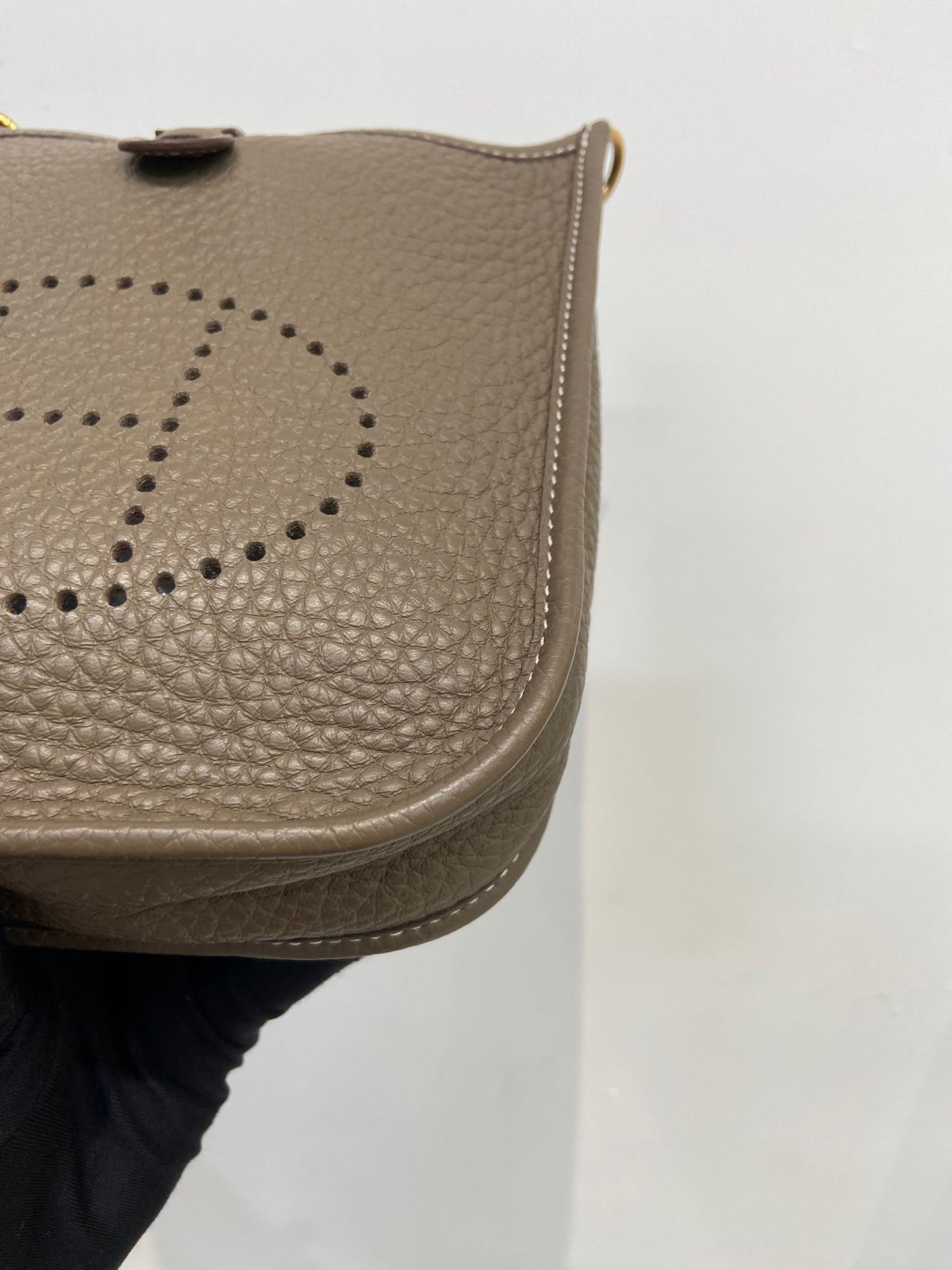 Hermes mini evelyne