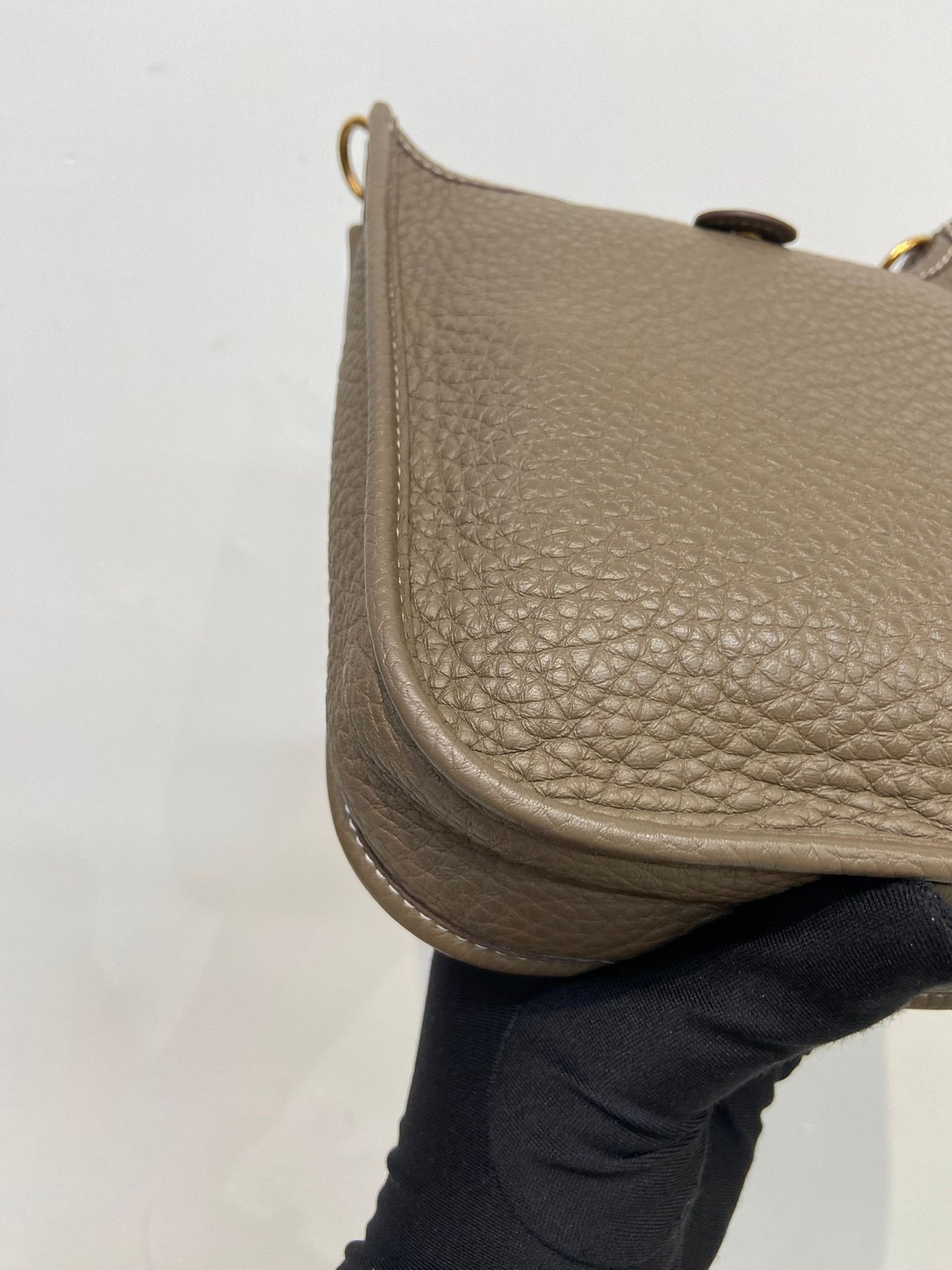 Hermes mini evelyne