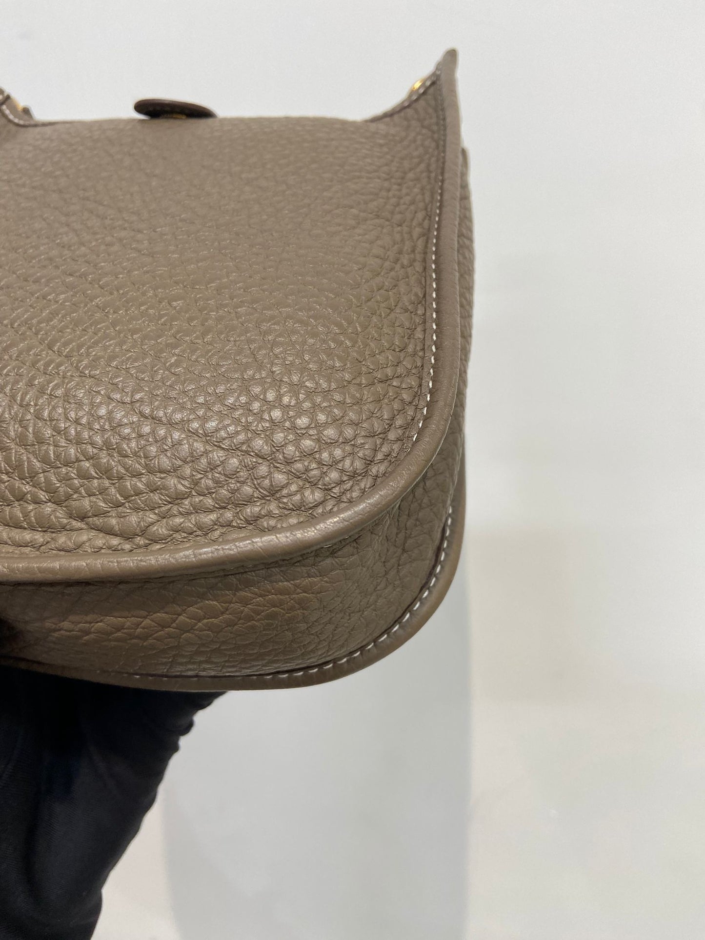 Hermes mini evelyne