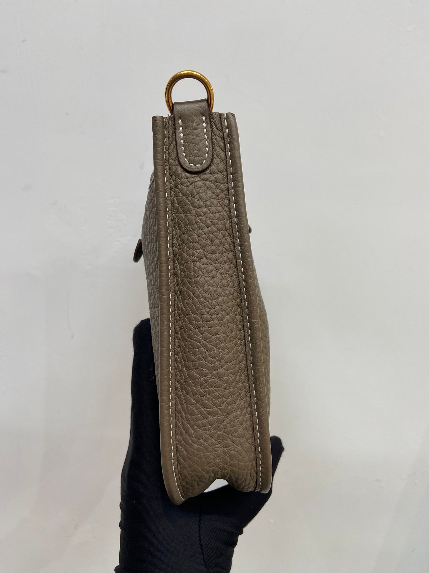 Hermes mini evelyne