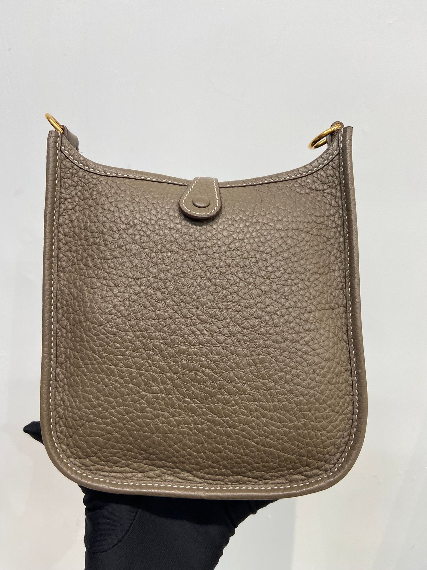 Hermes mini evelyne