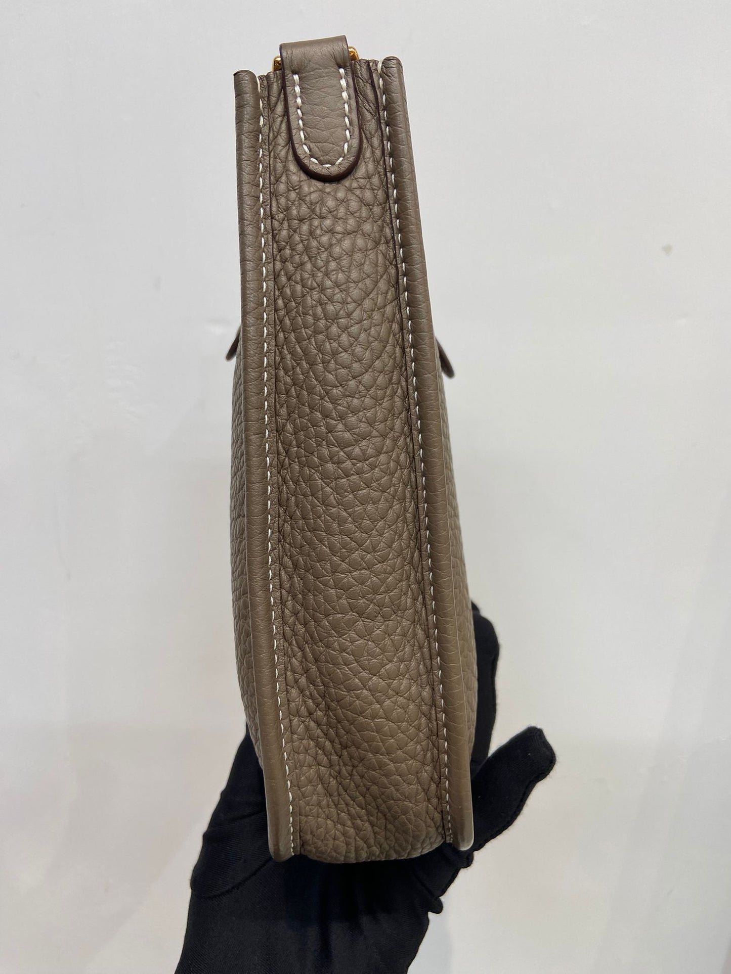Hermes mini evelyne