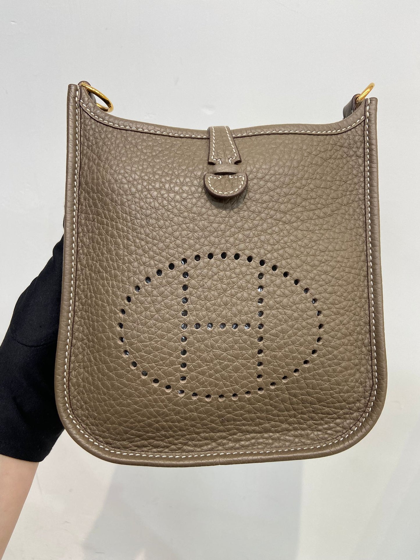 Hermes mini evelyne