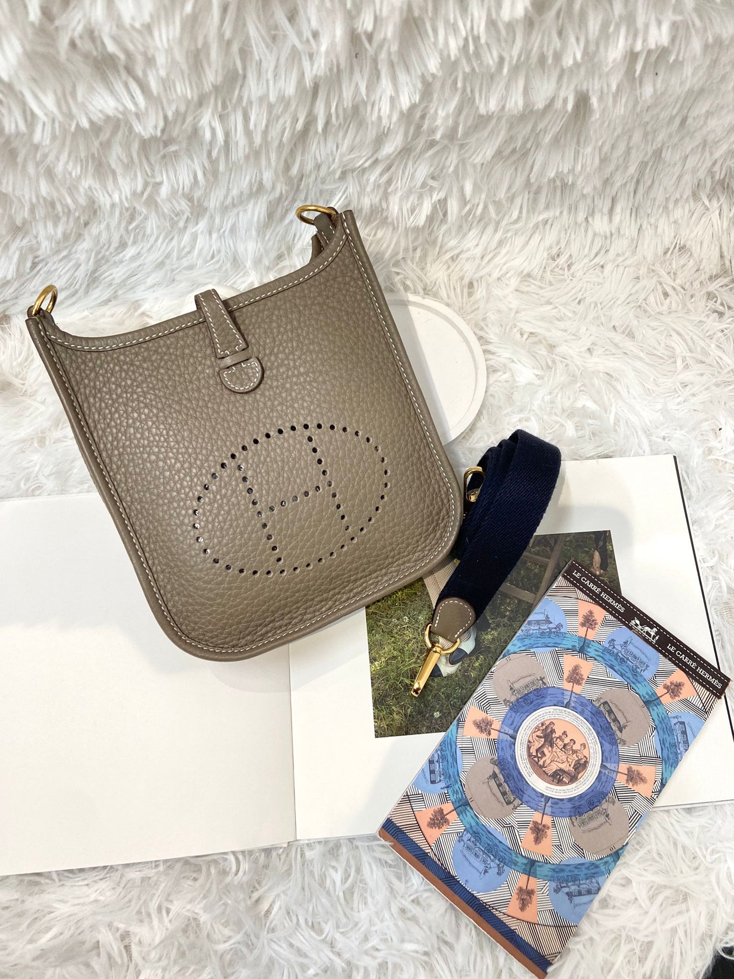 Hermes mini evelyne