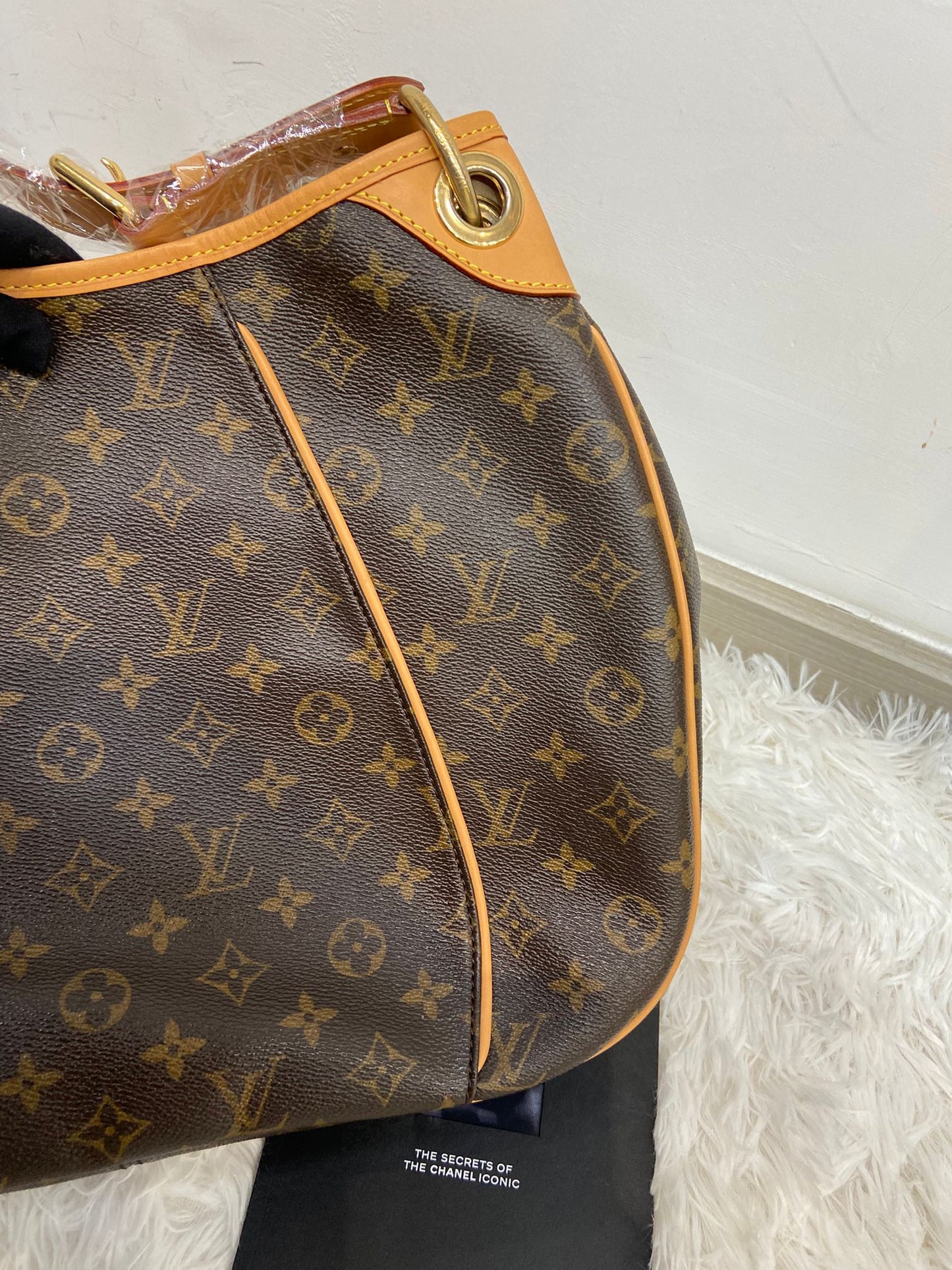 Lv 金牌南瓜hobo tote bag