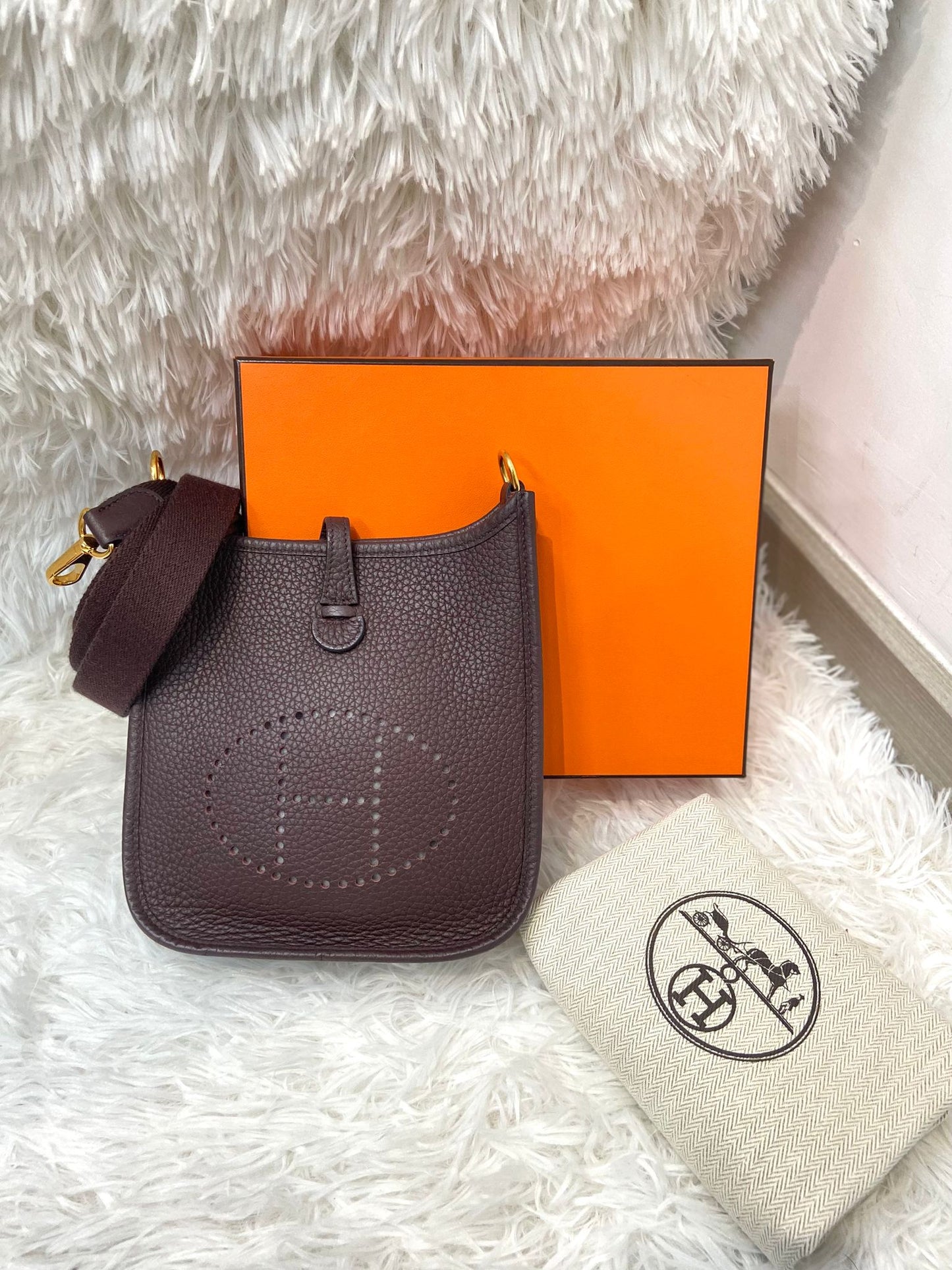 Hermes mini evelyne