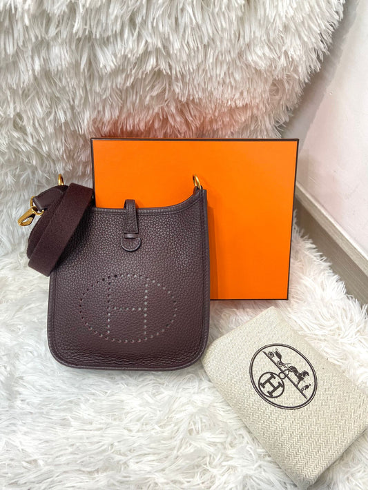 Hermes mini evelyne