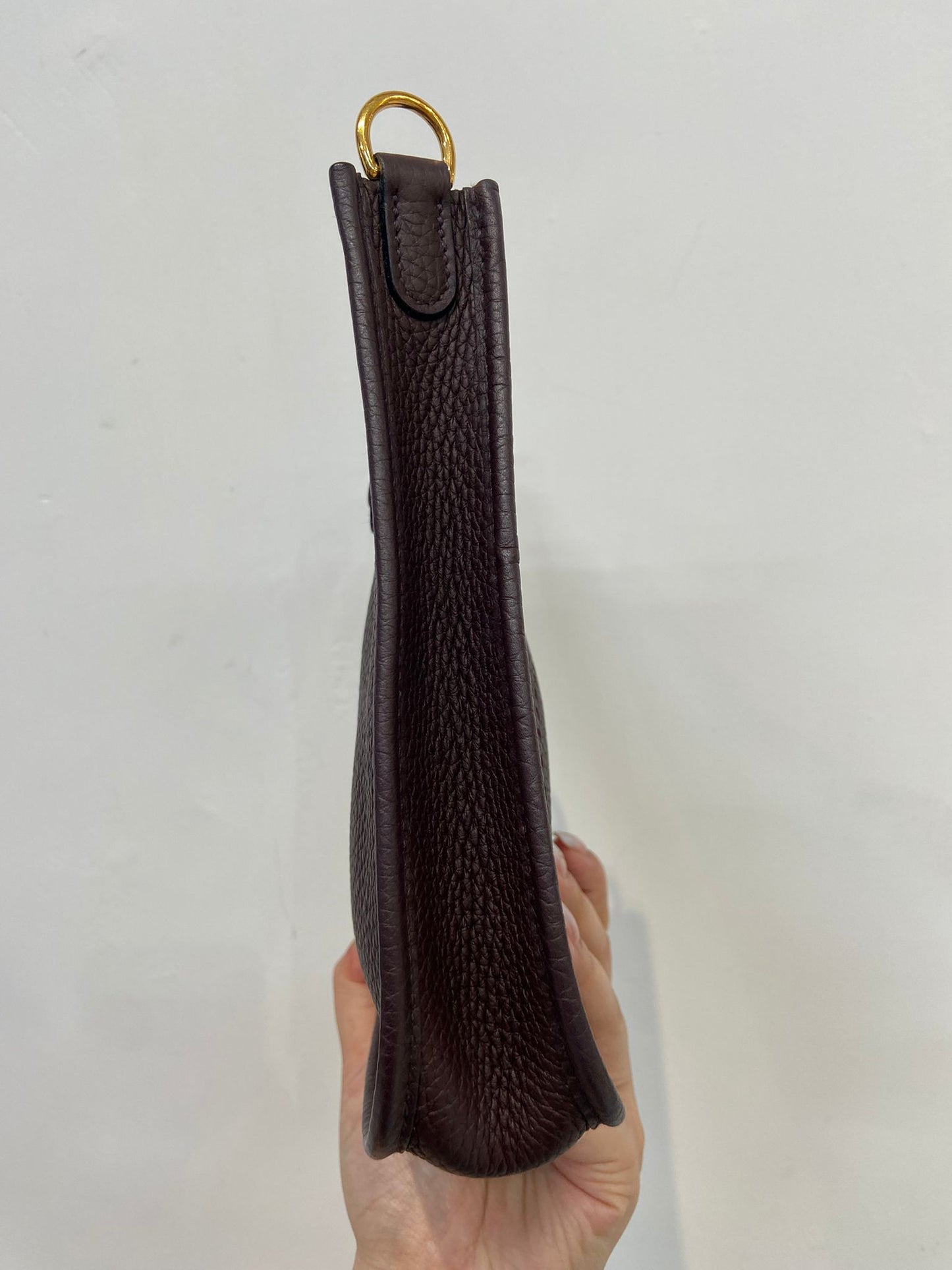 Hermes mini evelyne