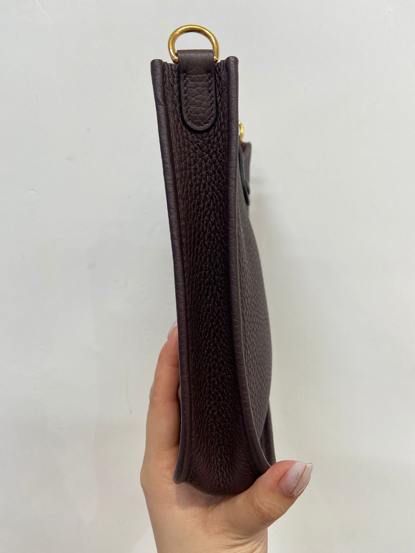 Hermes mini evelyne