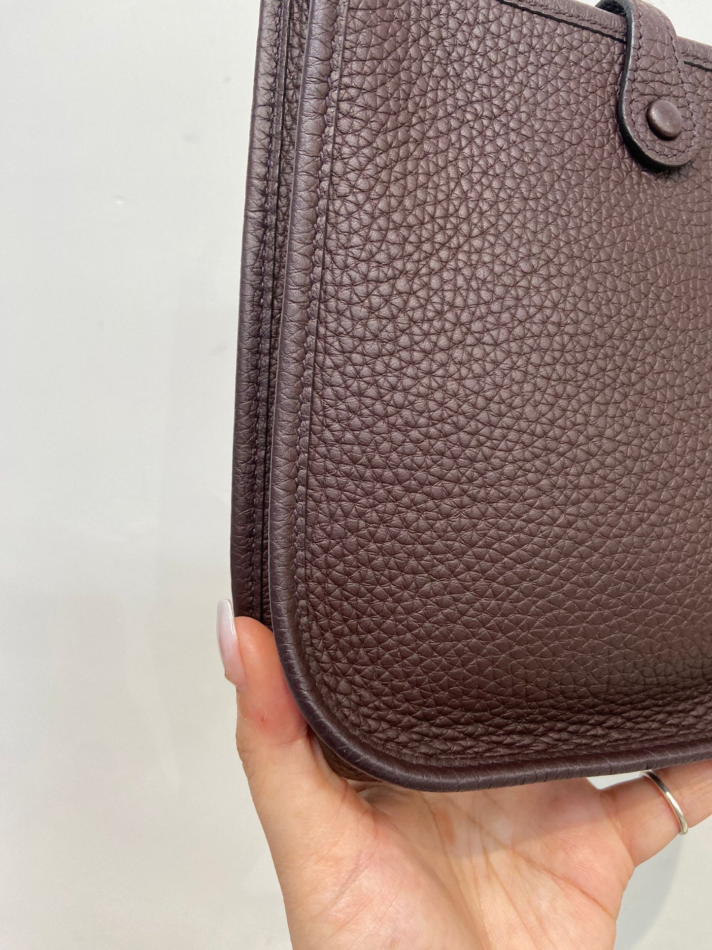 Hermes mini evelyne