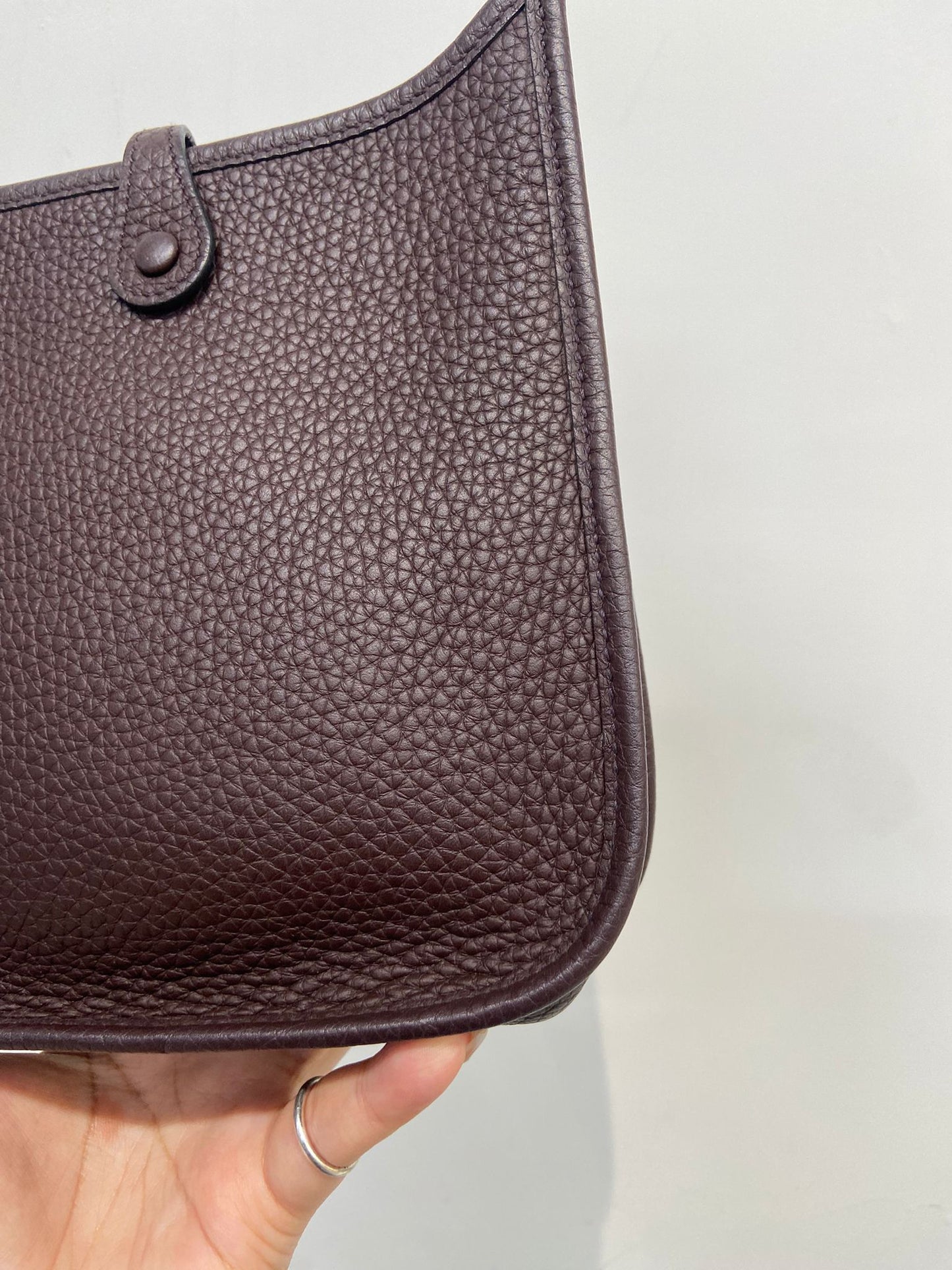 Hermes mini evelyne