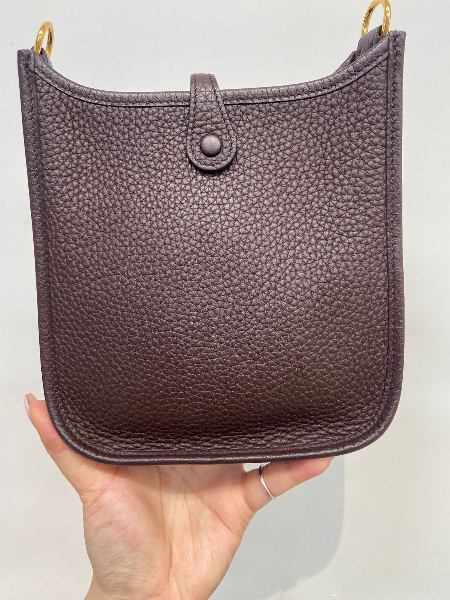 Hermes mini evelyne