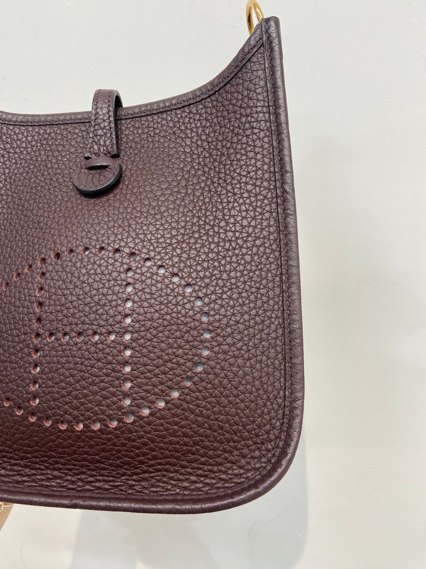 Hermes mini evelyne
