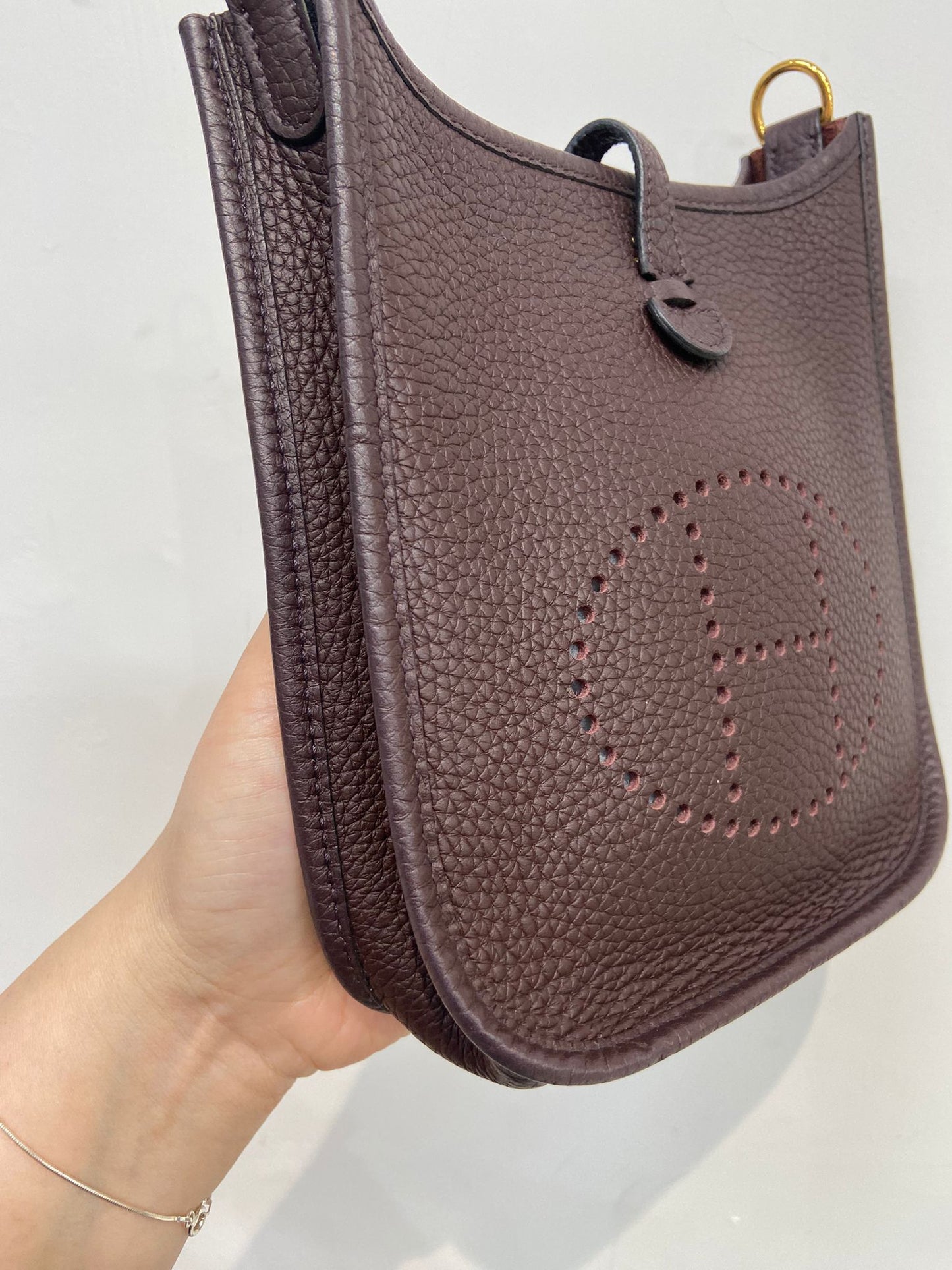 Hermes mini evelyne