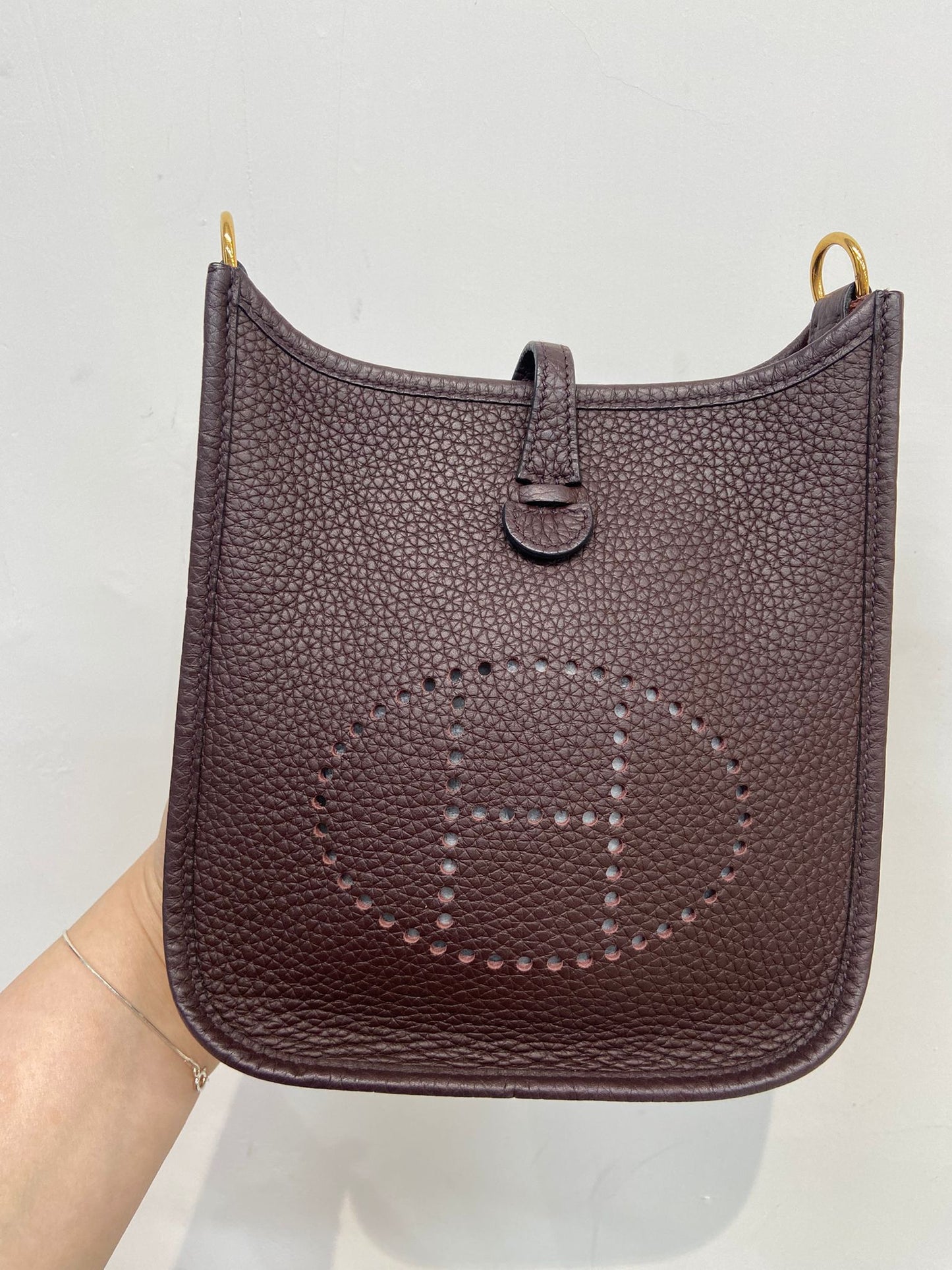 Hermes mini evelyne