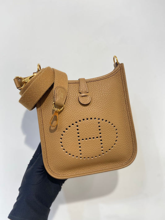 Hermes mini evelyne