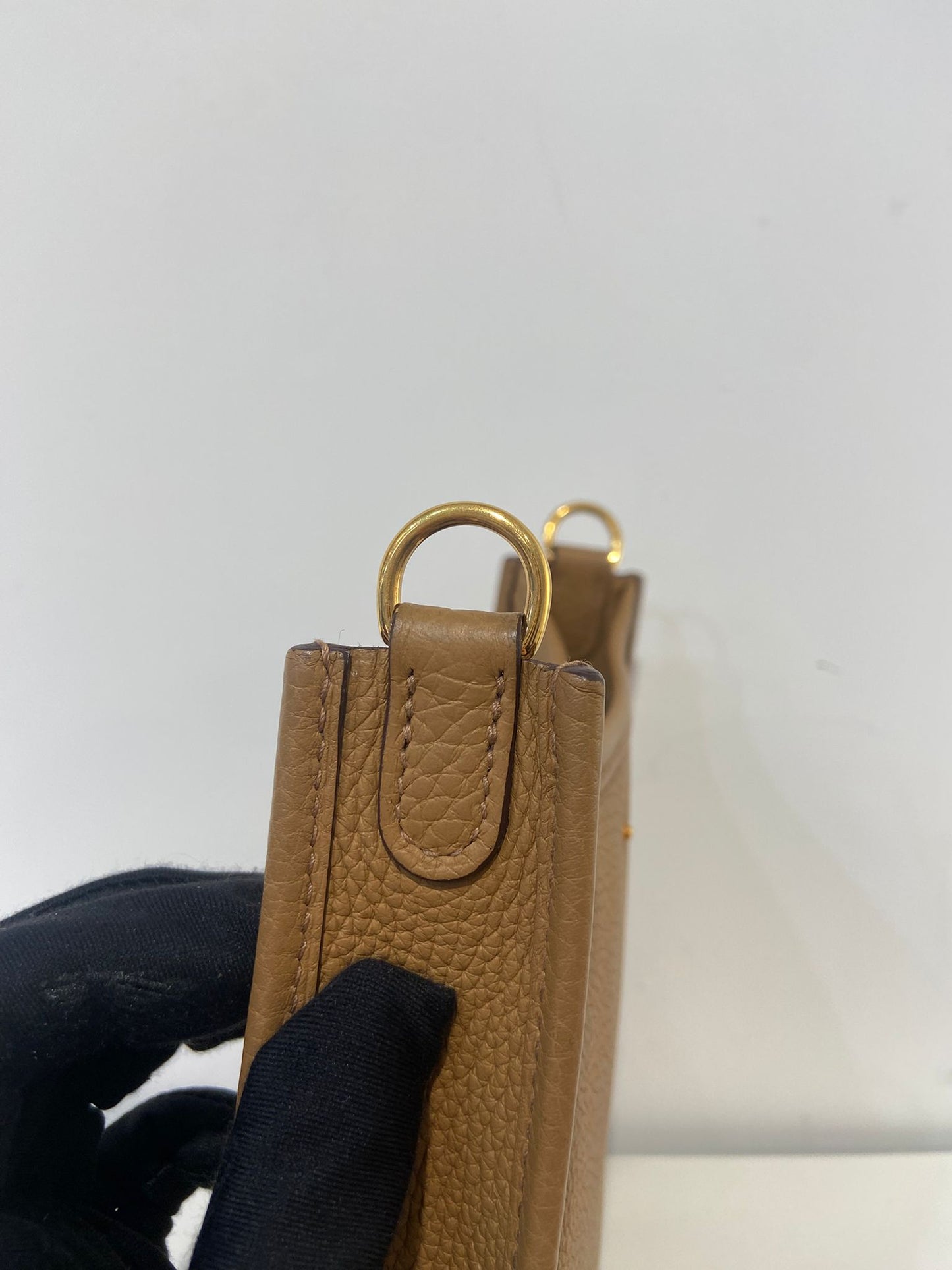 Hermes mini evelyne